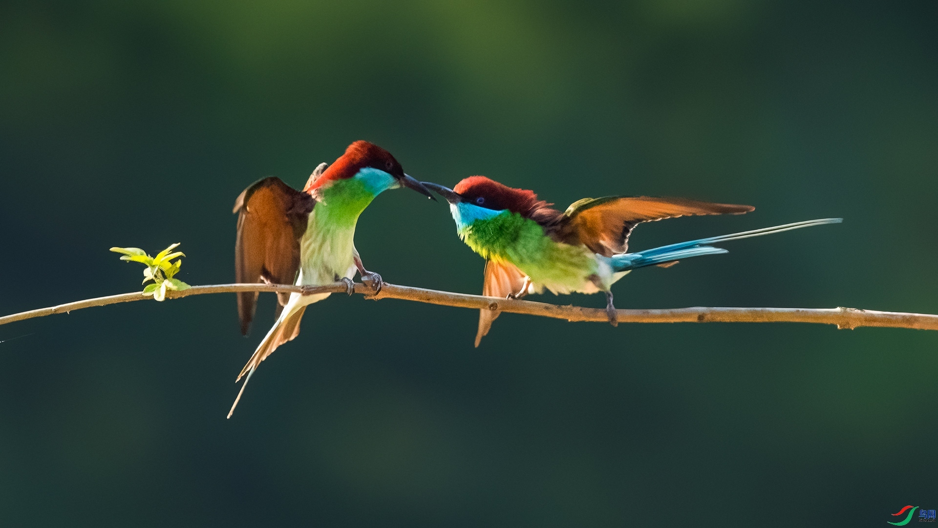 7.30 ��ı�Ե��ʦ��Ʒ  �����仢  �ٻ�2024��7��30��������ҳ����.jpg