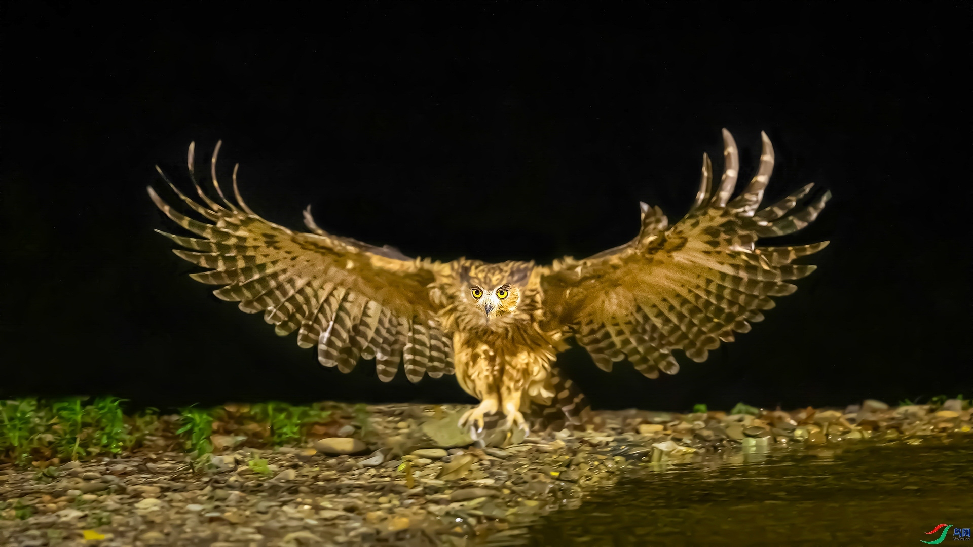 7.30 ��������ʦ��Ʒ  �������^  �ٻ�2024��7��30�ջ�Ա��ҳ����.jpg