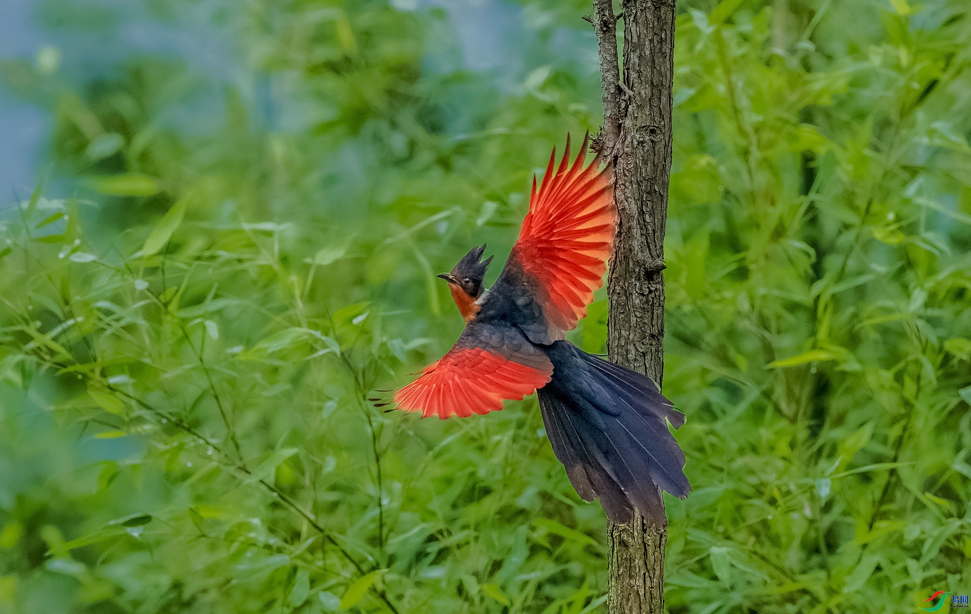 7.30 ����a��ʦ��Ʒ  ���չ��  �ٻ�2024��7��30�ջ�Ա��ҳ����.jpg