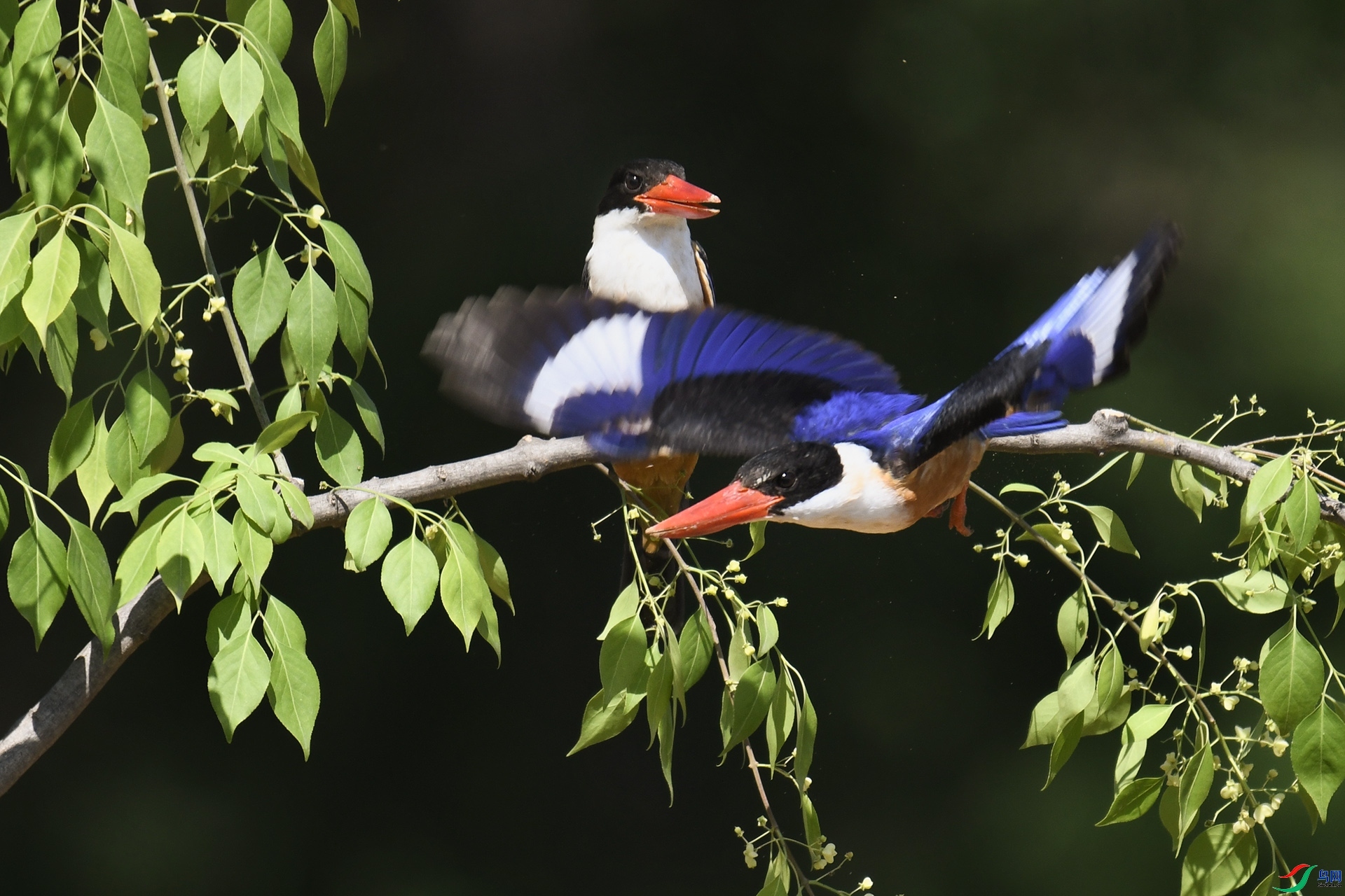 7.30 ����¥̨��ʦ��Ʒ  һ��һ��  �ٻ�2024��7��30��������ҳ����.jpg