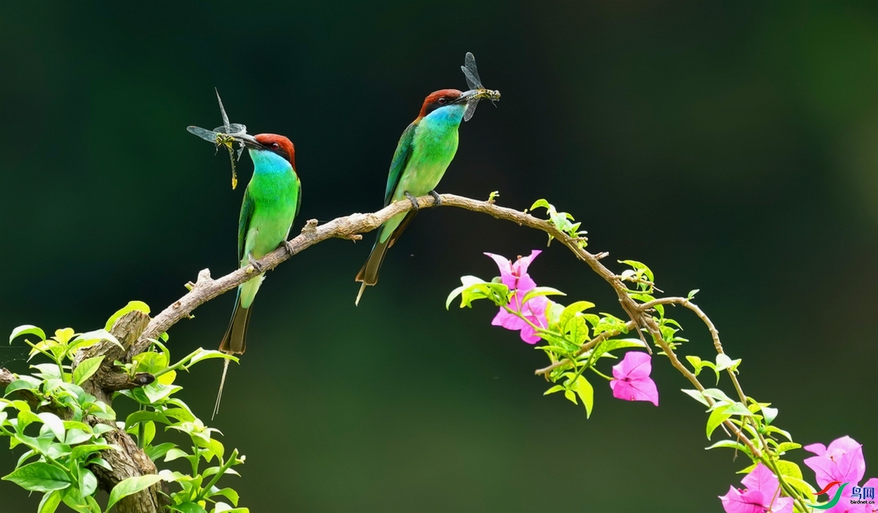 7.30 ����ʫһ��������ʦ��Ʒ �򳪸���  �ٻ�2024��7��30�ջ�Ա��ҳ����.jpg