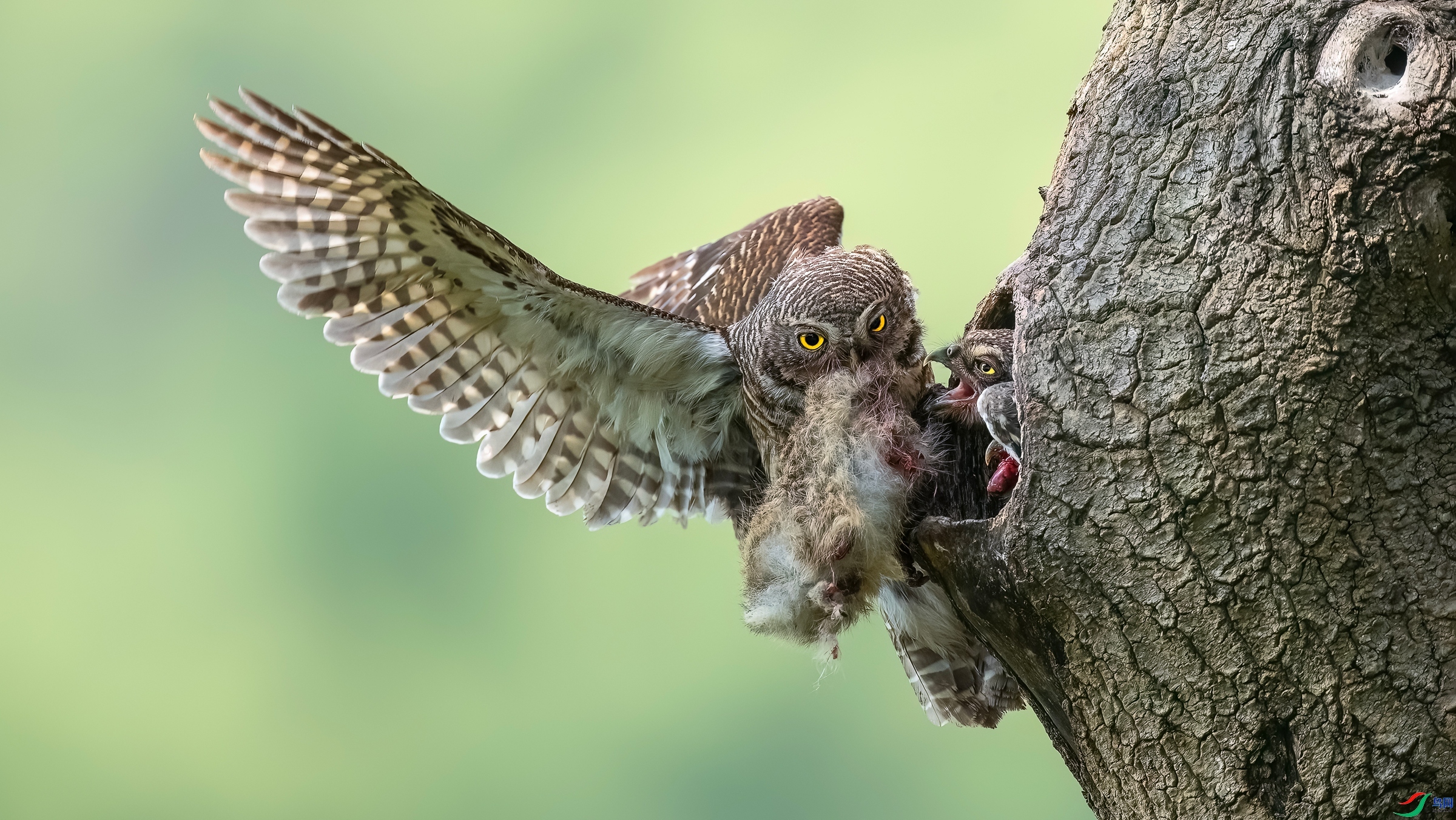 7.31 Hsia��ʦ��Ʒ  ����  �ٻ�2024��7��31�հ�����ҳ����.jpg