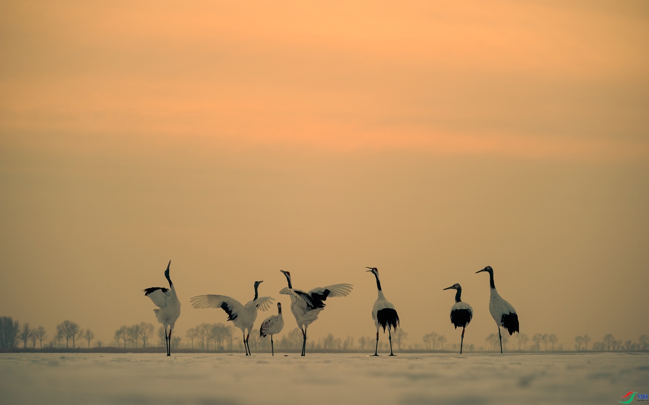 7.31 �����ʦ��Ʒ  ����  �ٻ�2024��7��31����Ӱʦ��ҳ����.jpg