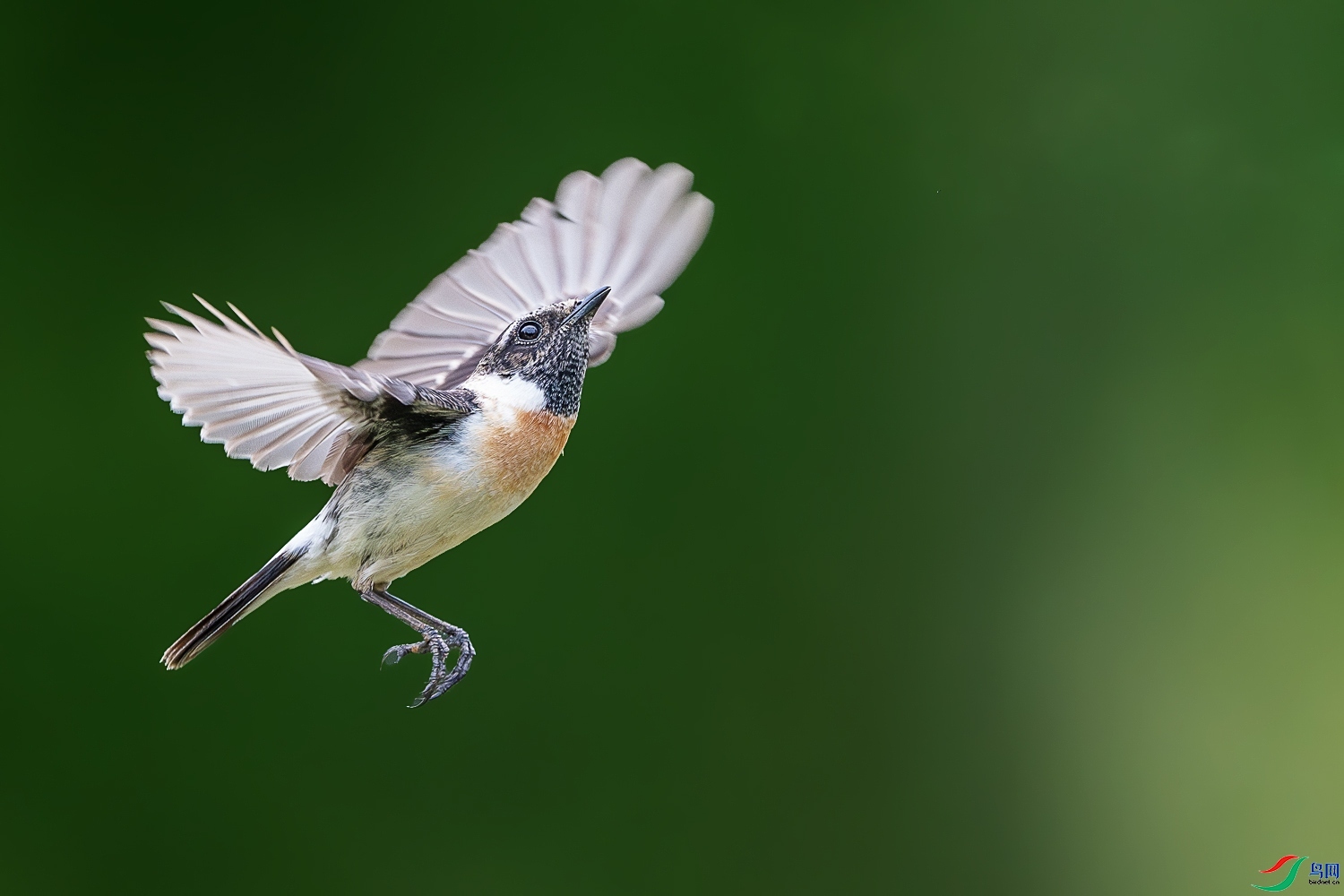 7.31 ��Ȼ��Ȼ��ʦ��Ʒ  ����֮�ջ�  �ٻ�2024��7��31�ջ�Ա��ҳ����.jpg