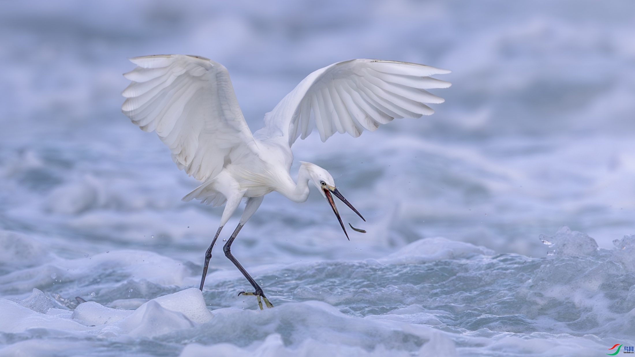 7.31 ����ī��ʦ��Ʒ  ��С�ոպ�  �ٻ�2024��7��31��������ҳ����.jpg