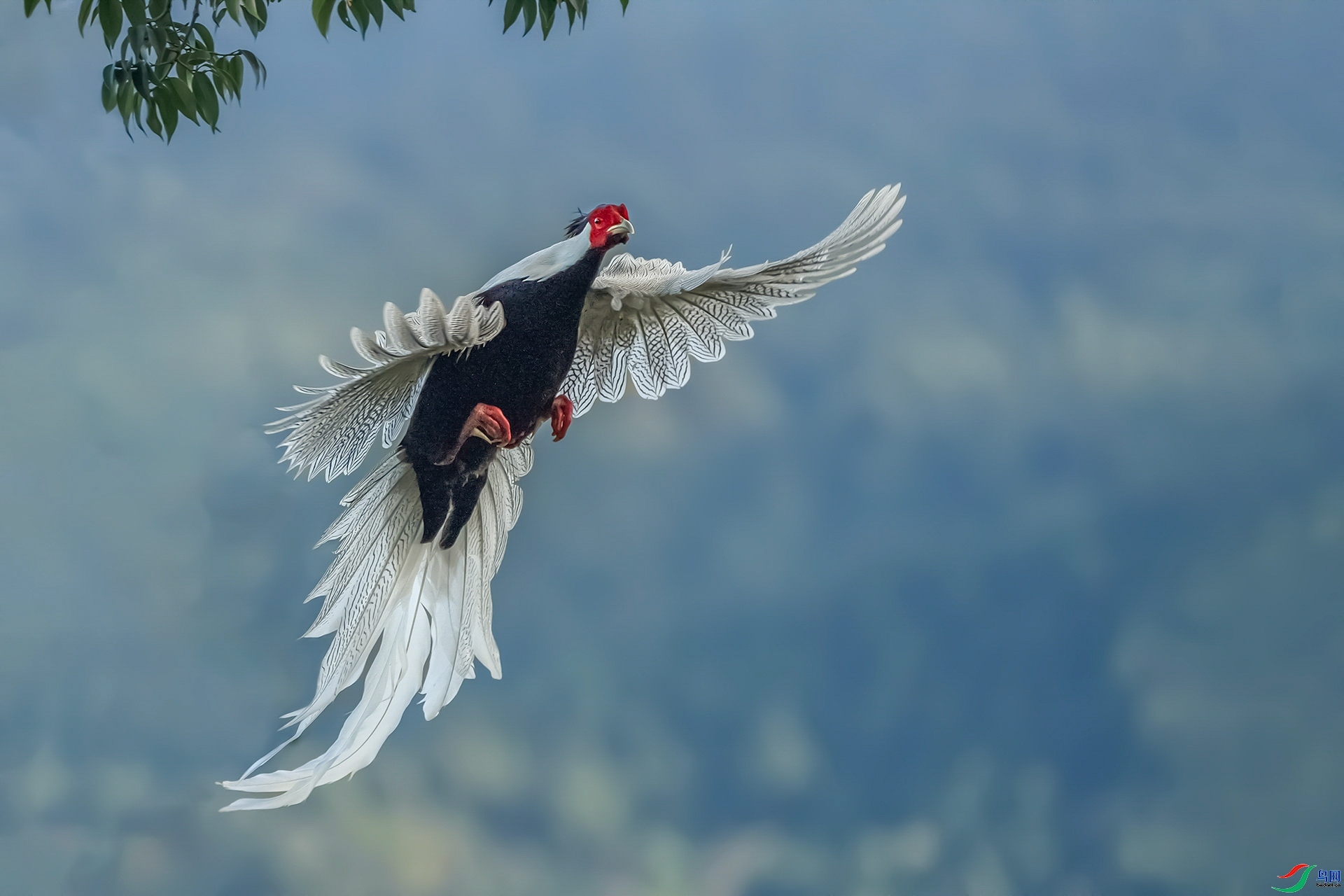 7.31 ��������ʦ��Ʒ  ����  �ٻ�2024��7��31�ջ�Ա��ҳ����.jpg