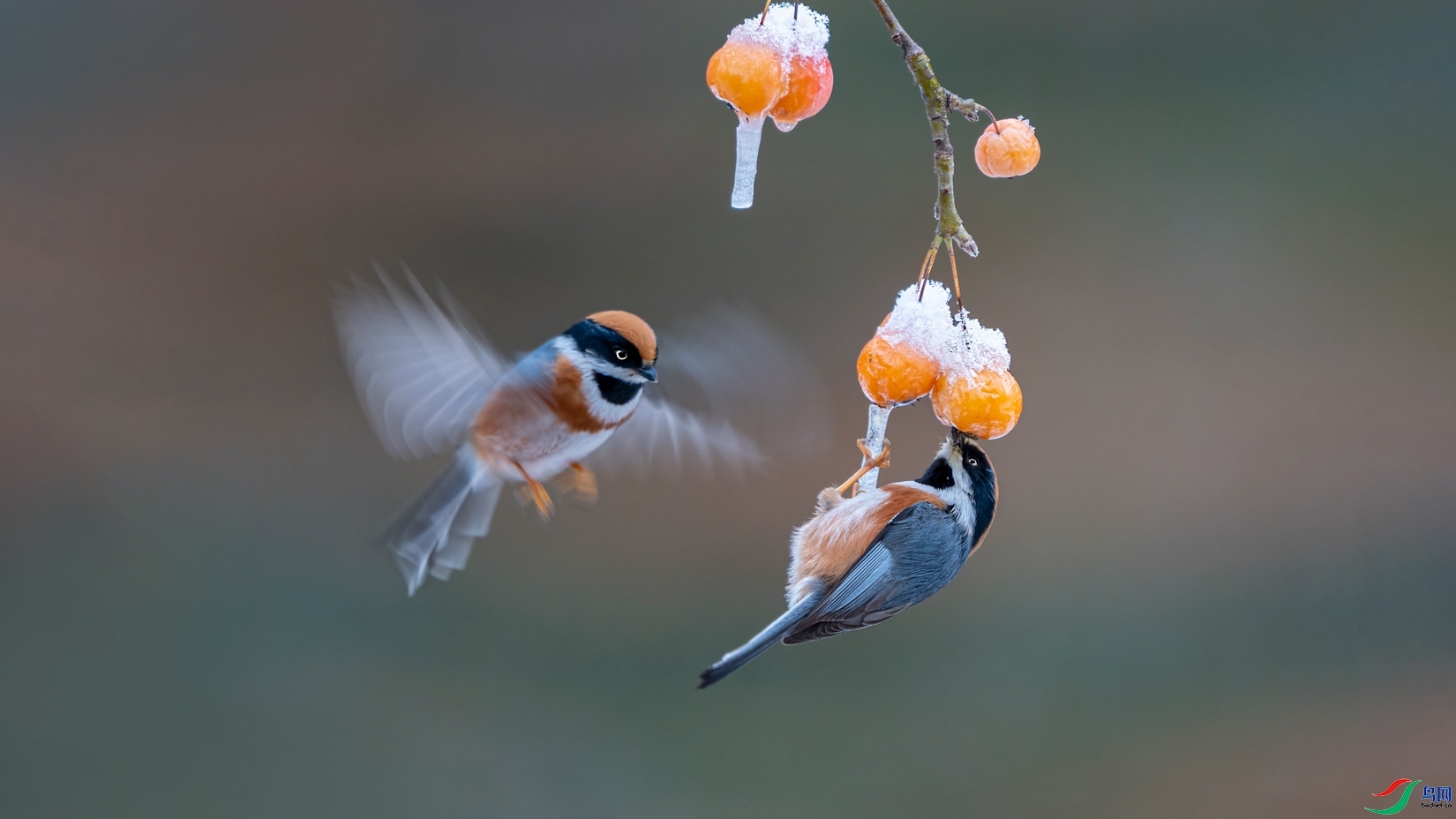 7.31 ��������ʦ��Ʒ  ����ĺ�ͷ  �ٻ�2024��7��31��������ҳ����.jpg