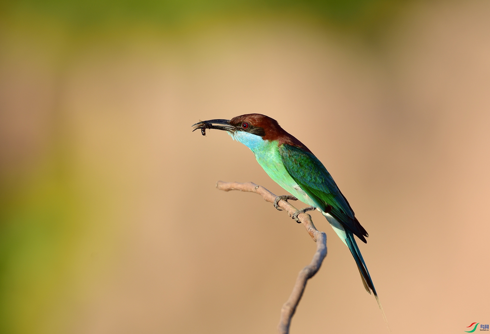 D8I_2946.jpg