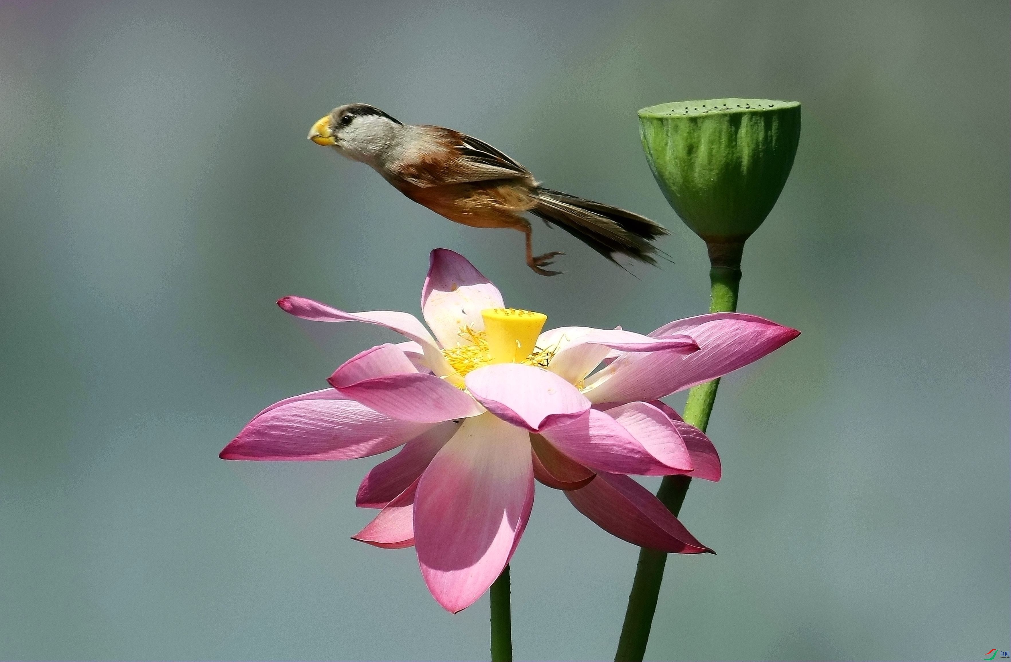 �ɻ����ڷ�1U4A7260_����.jpg