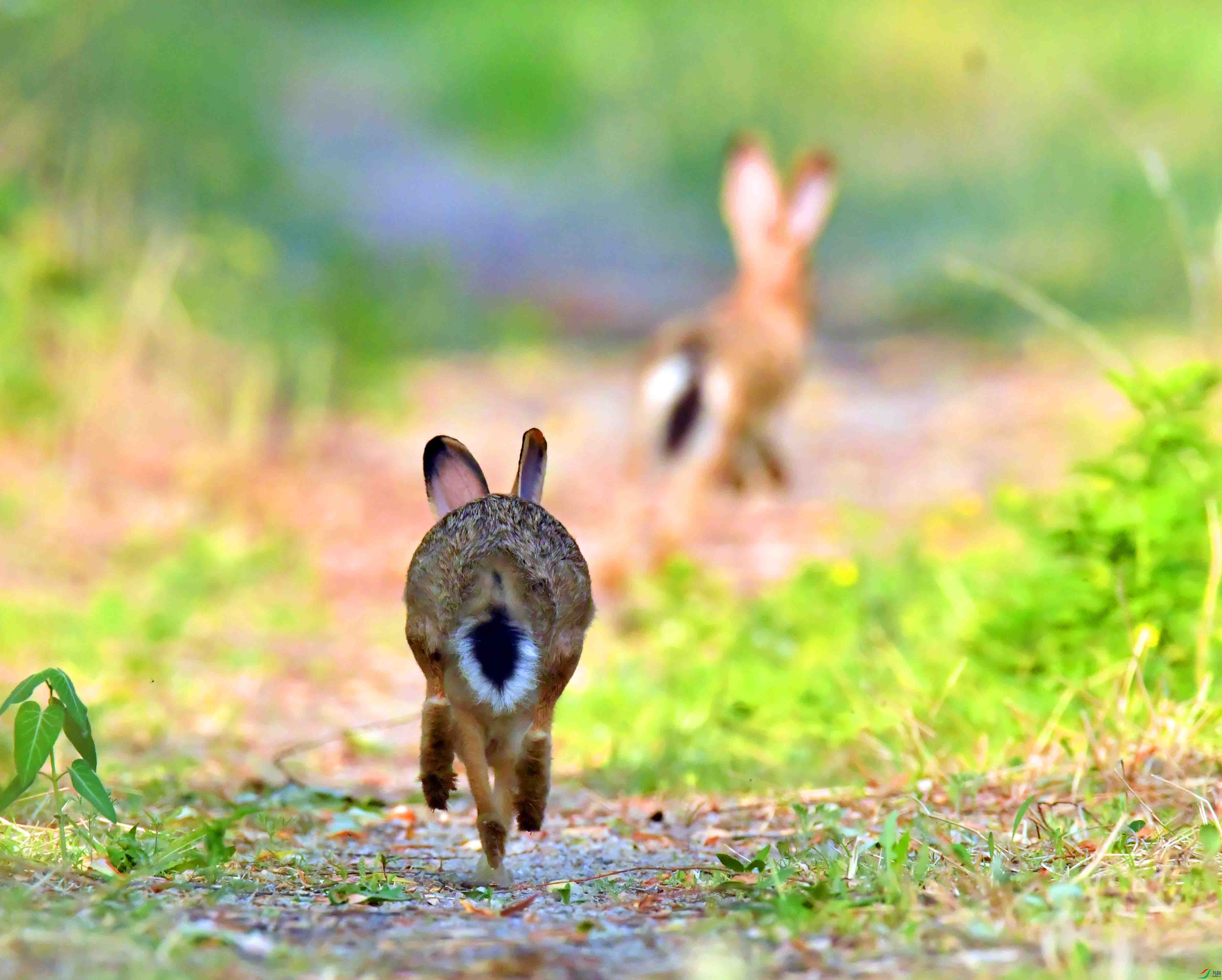 DSC_0970.JPG