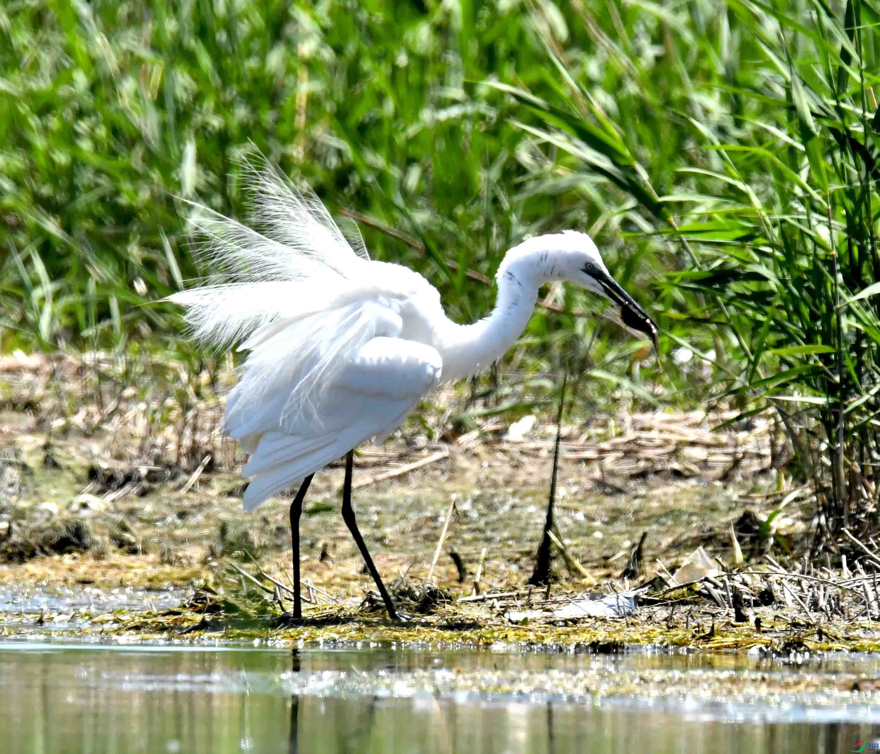 DSC_0748.JPG