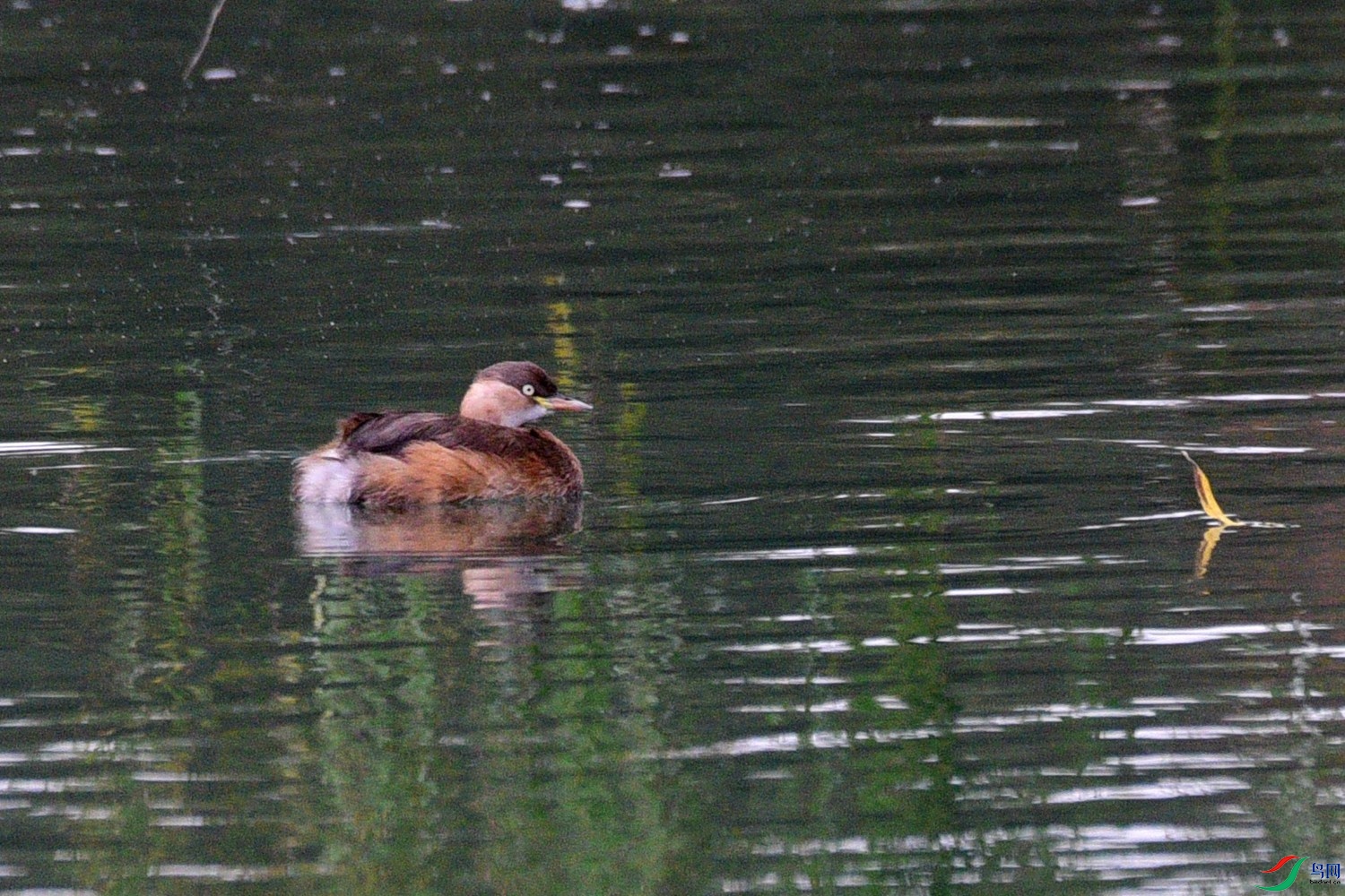DSC_4940.JPG