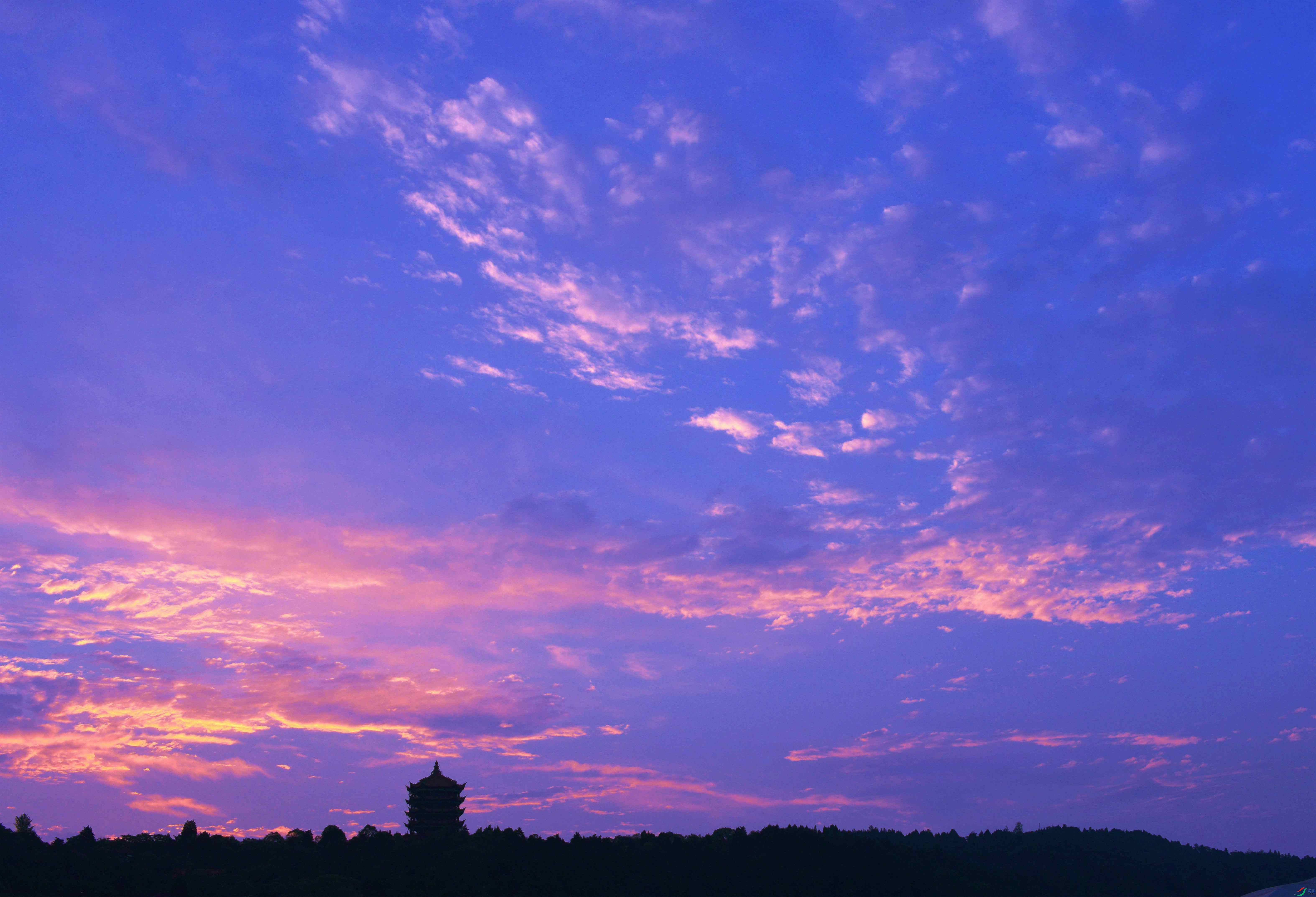 DSC_6858.JPG