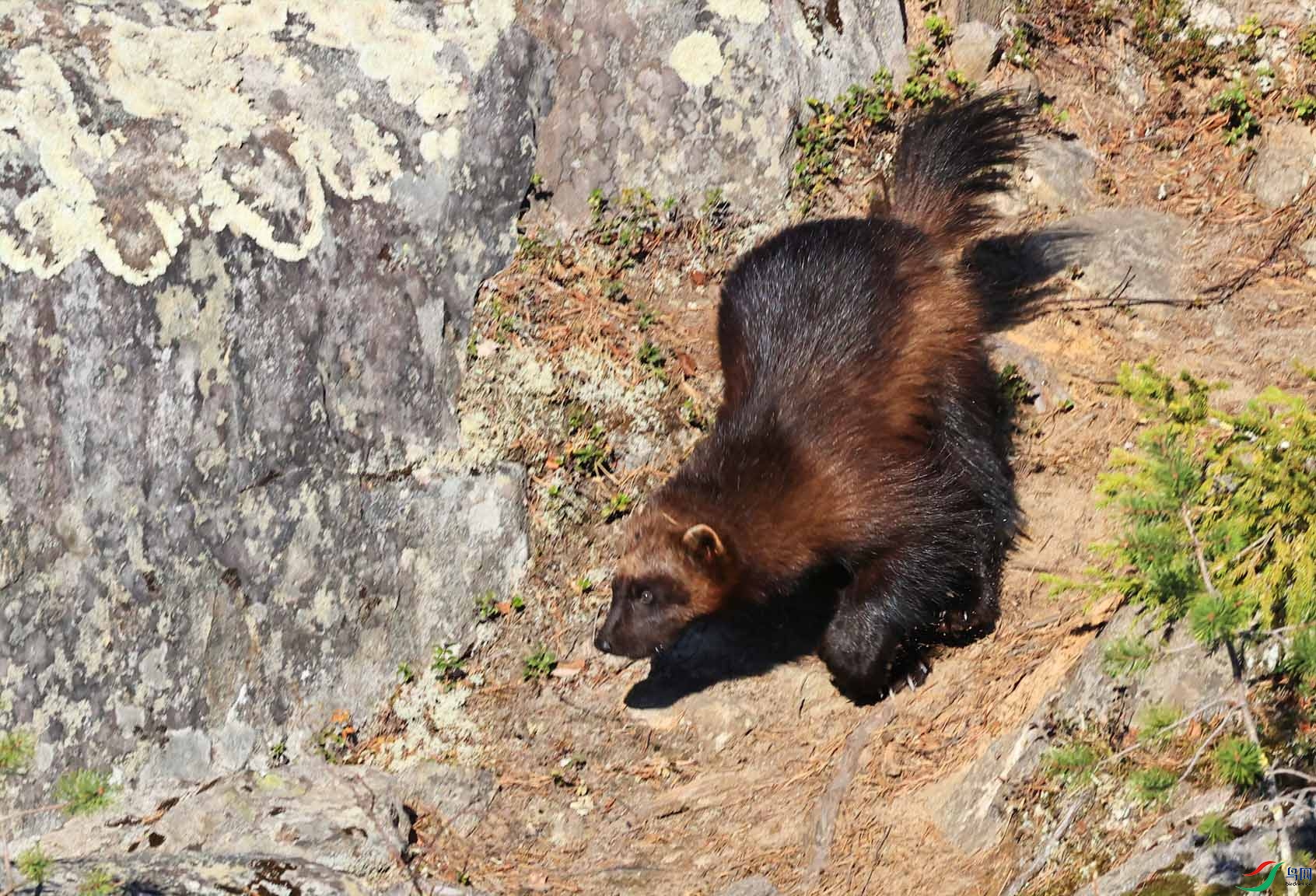 �����ɽ������2 ����.jpg