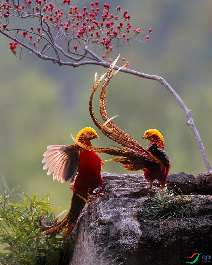 DSC_6603 ���� 2.jpg