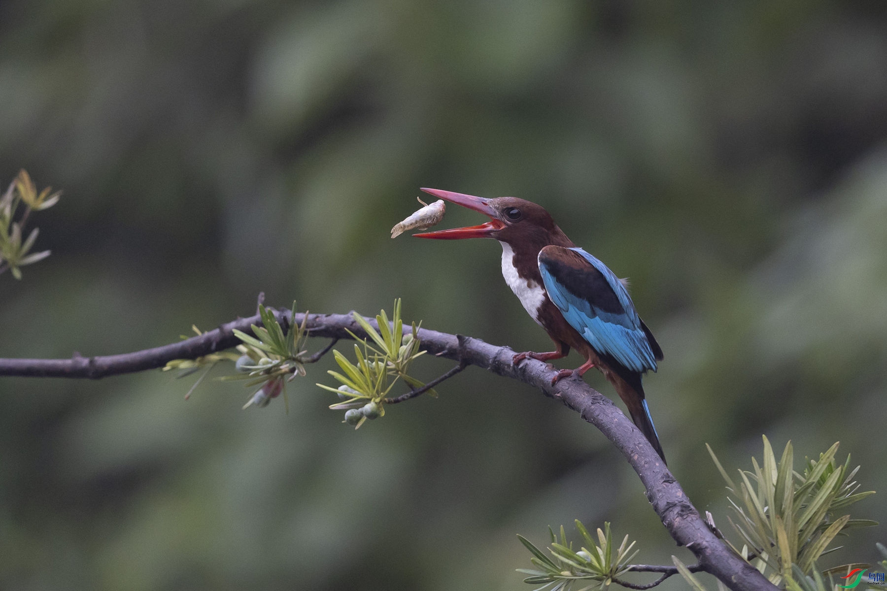 �������6