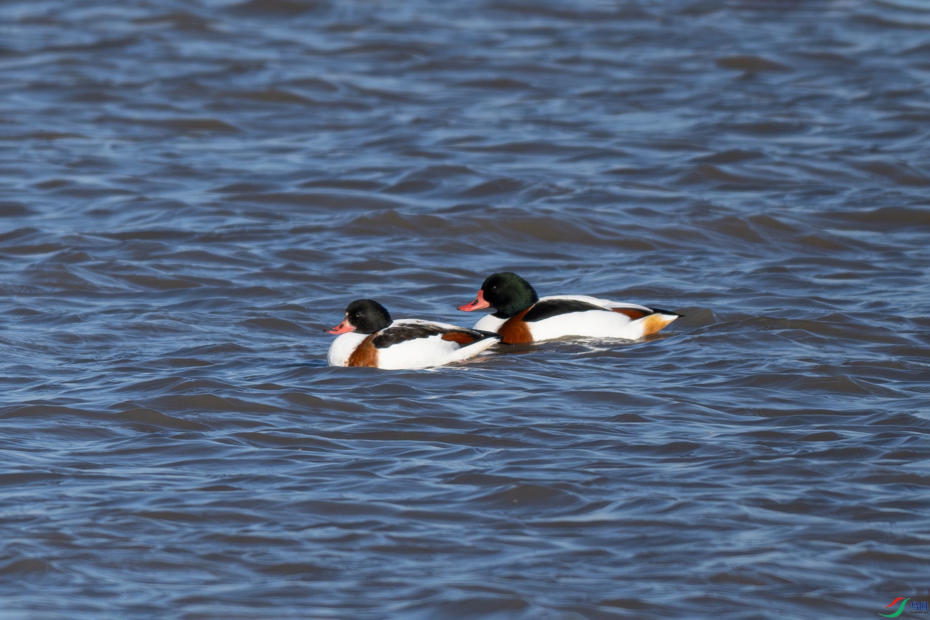 _DSC9008Ư��.jpg