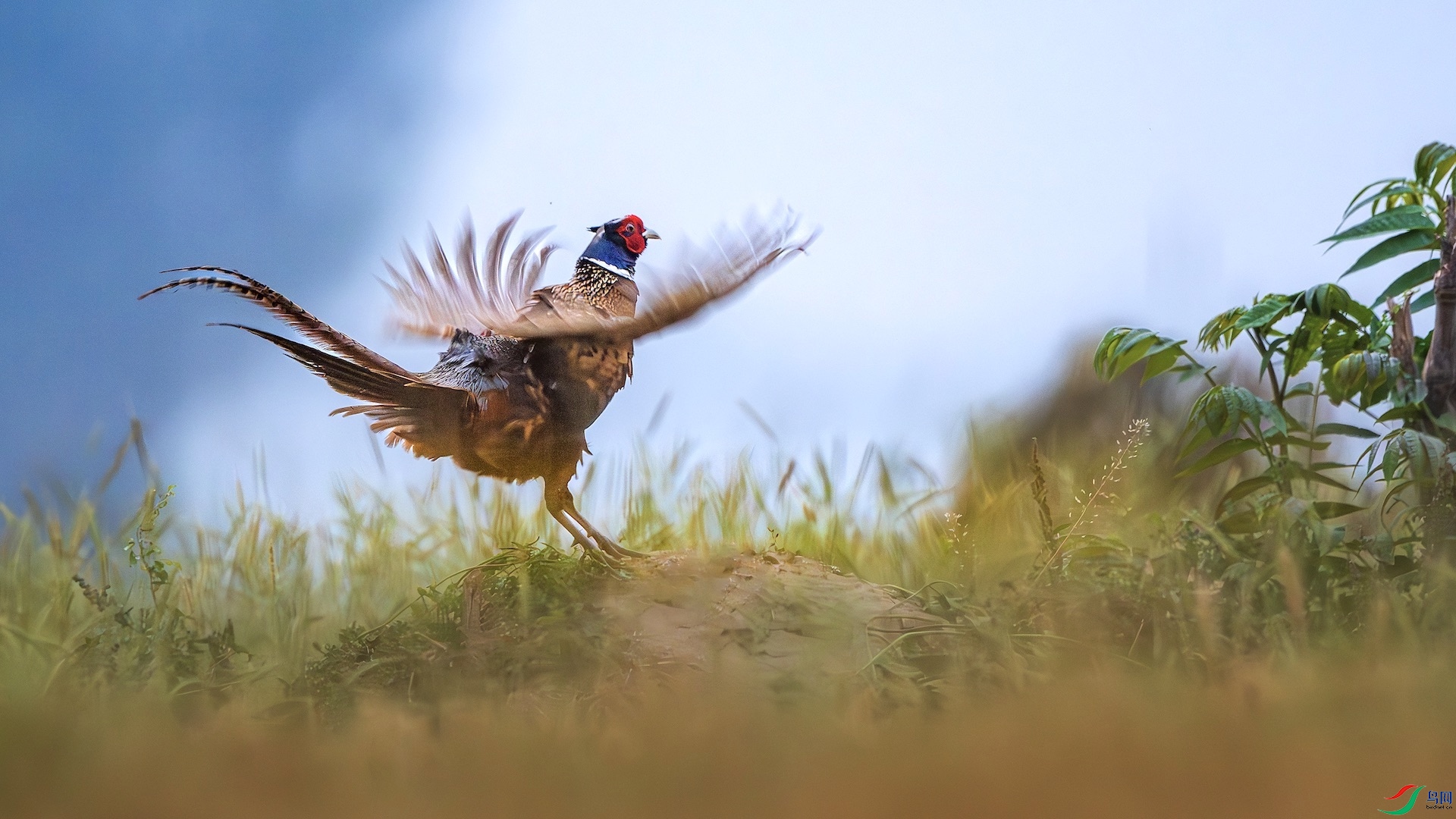 1_DSC0672-����ǿ-NR ����.jpg