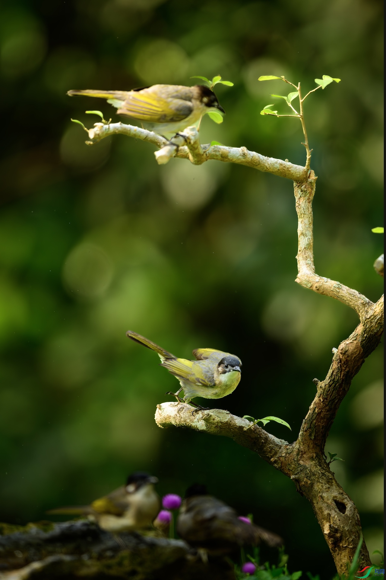 1_DSC0830-����ǿ-NR ����.jpeg