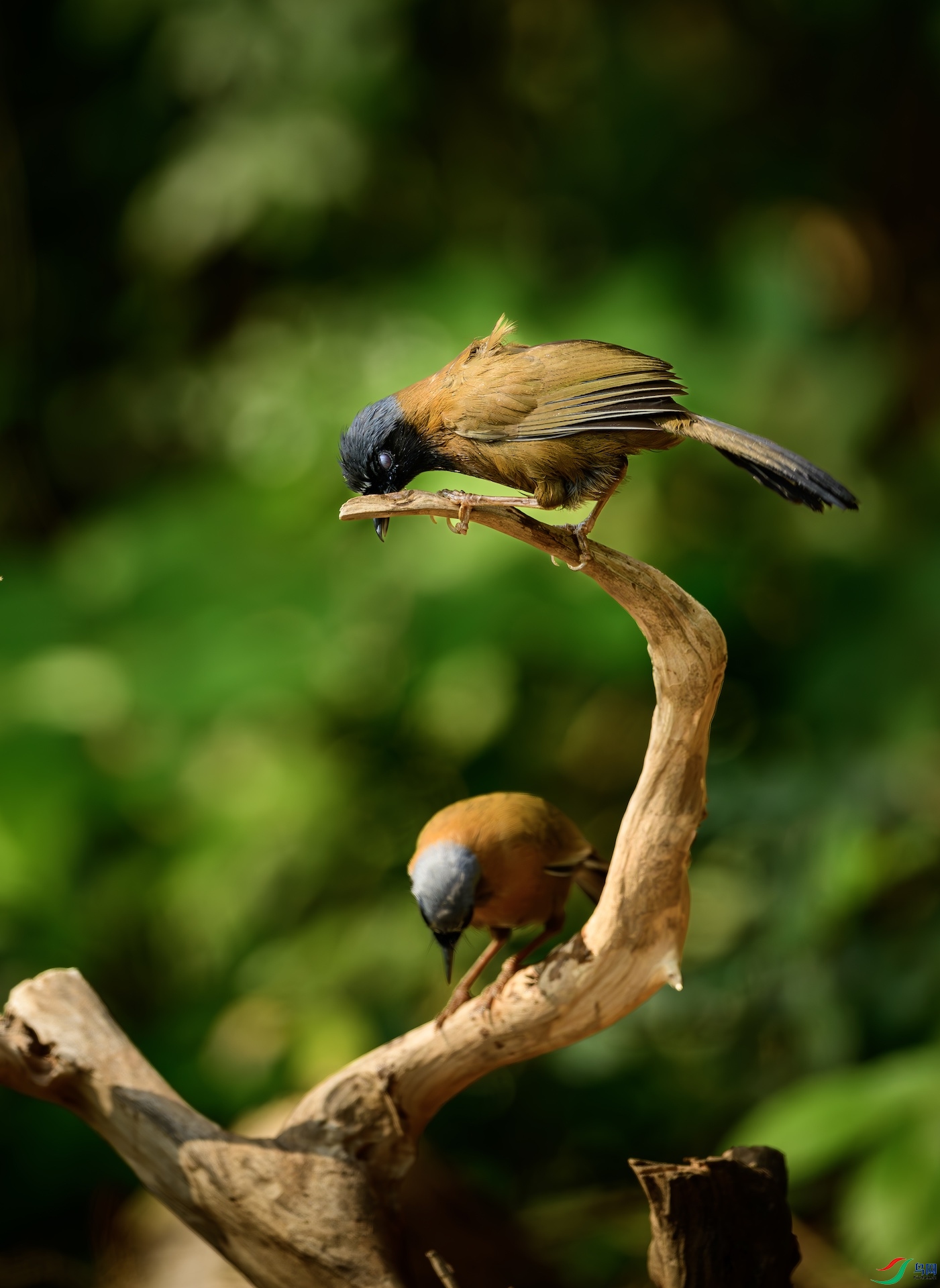 1_DSC0858-����ǿ-NR ����.jpeg