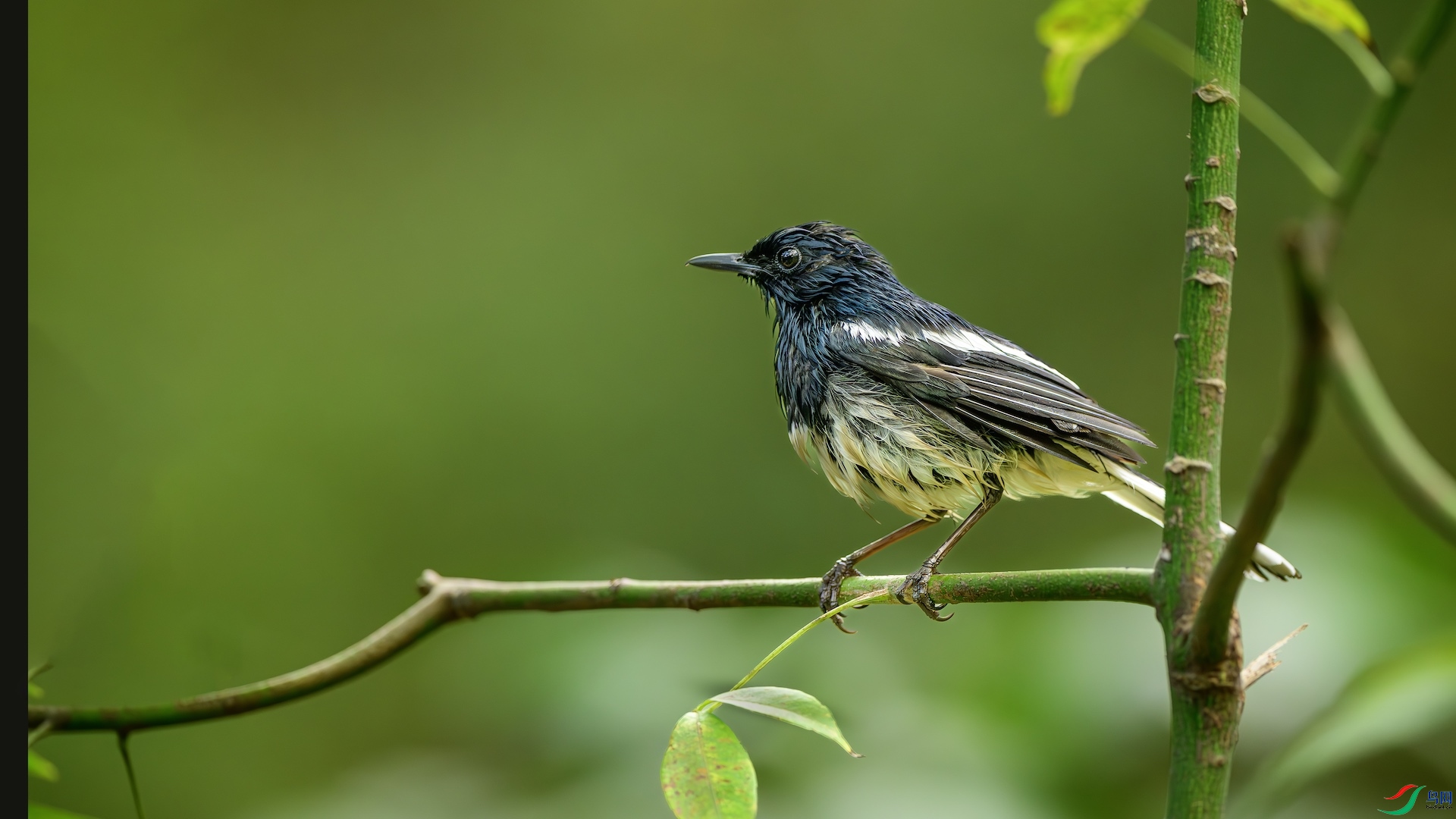 1_DSC9229-����ǿ-NR ����.jpeg