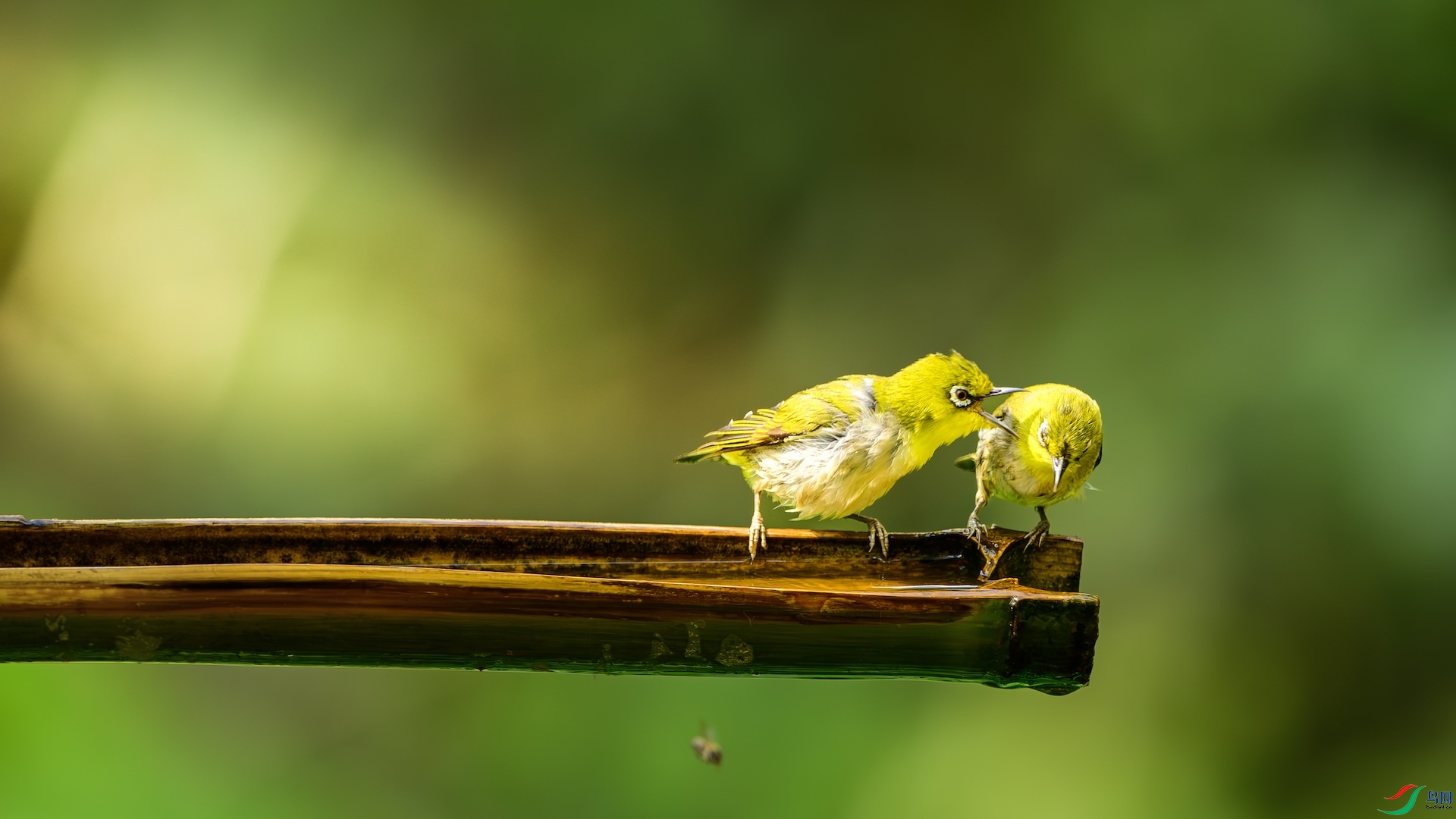 1_DSC9957-����ǿ-NR ����.jpeg