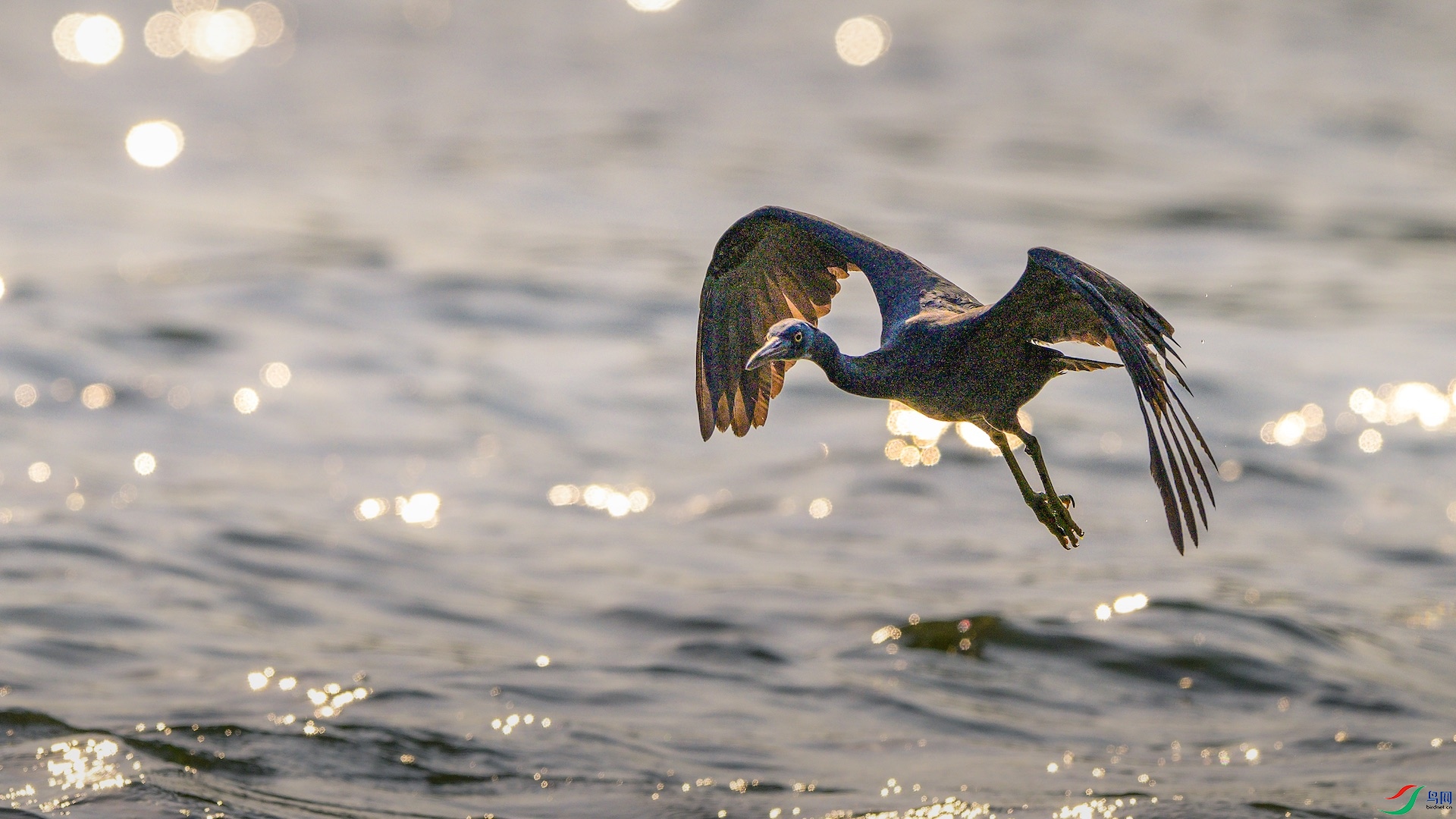 1_XXL0168 ����.jpeg