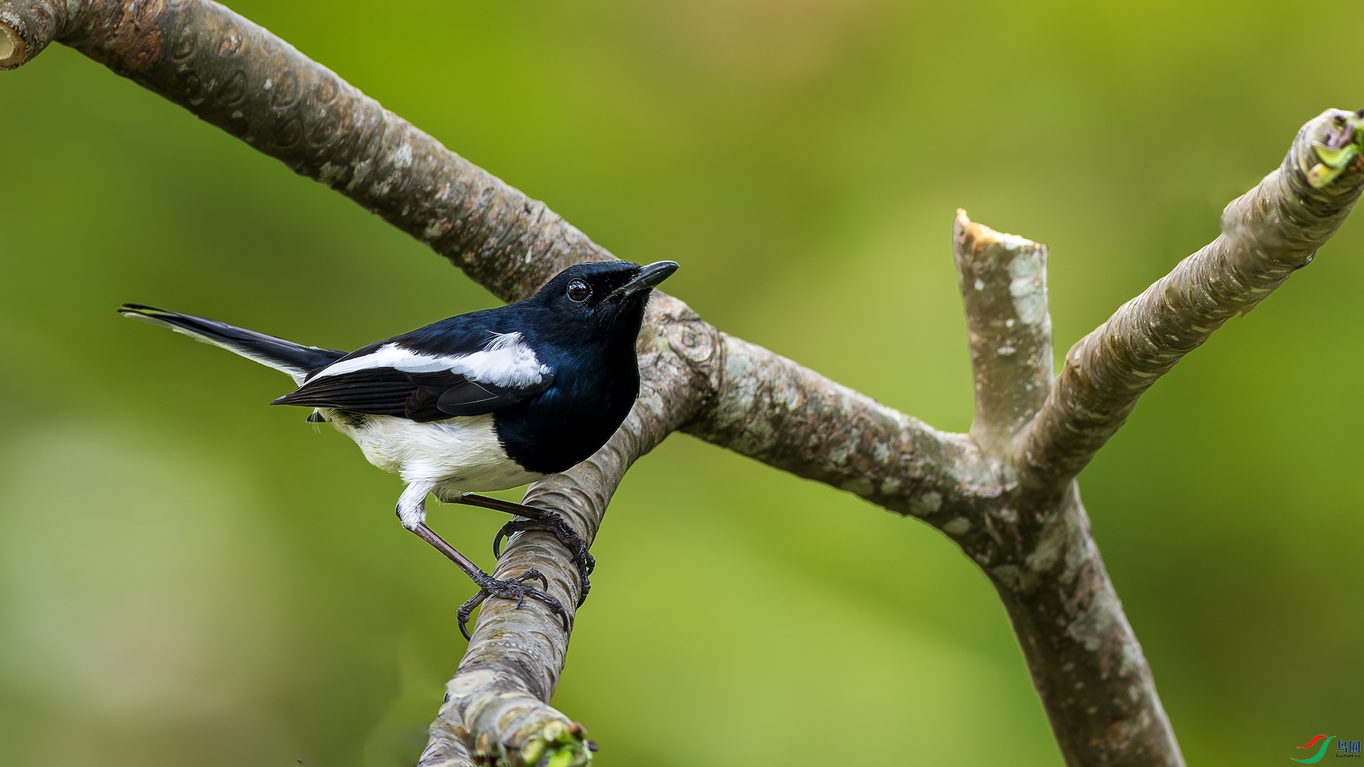 1_XXL3106-����ǿ-NR ����.jpeg