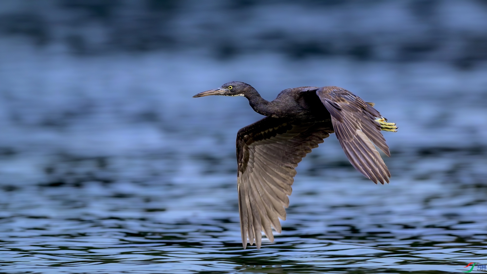 1_XXL4063-����ǿ-NR ����.jpg