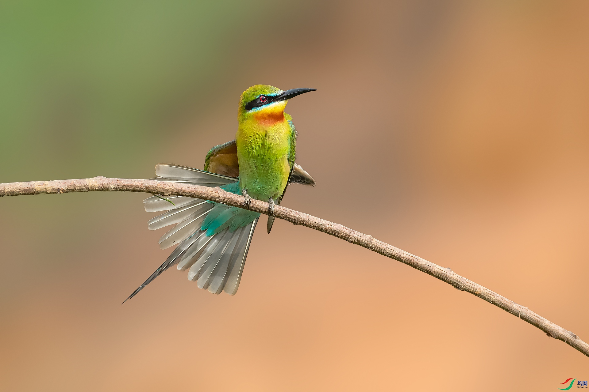 DSC_8458.jpg