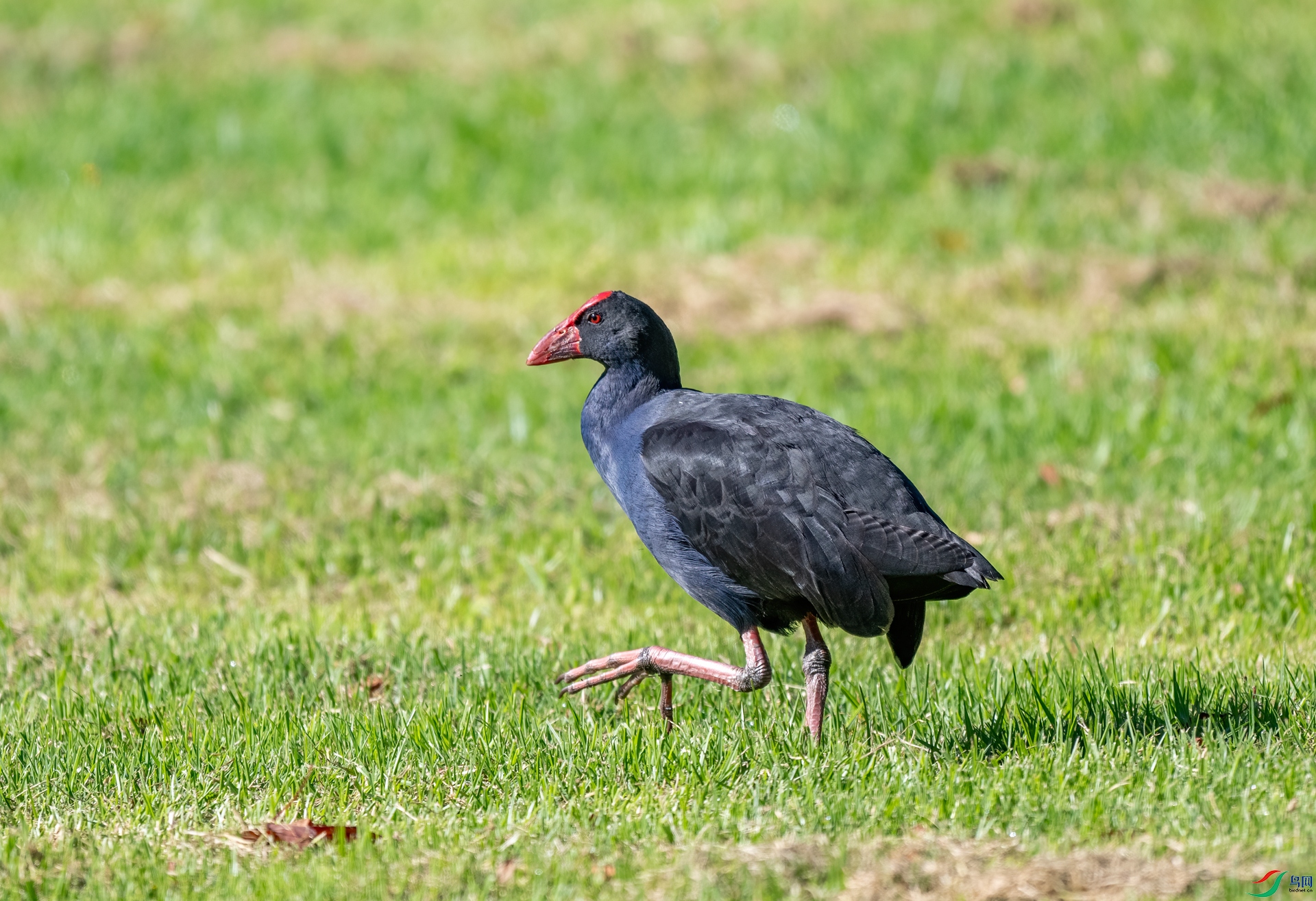 DSC_6863_����.jpg