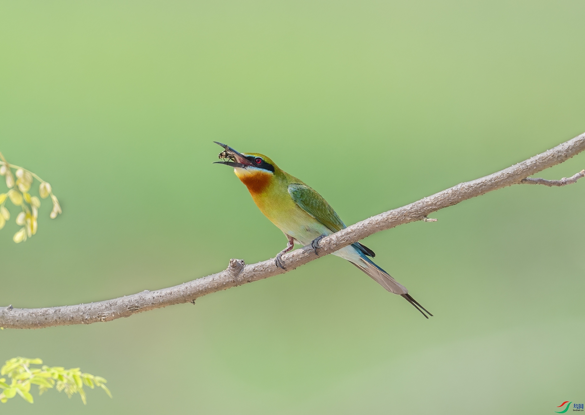 DSC_8120-1.jpg