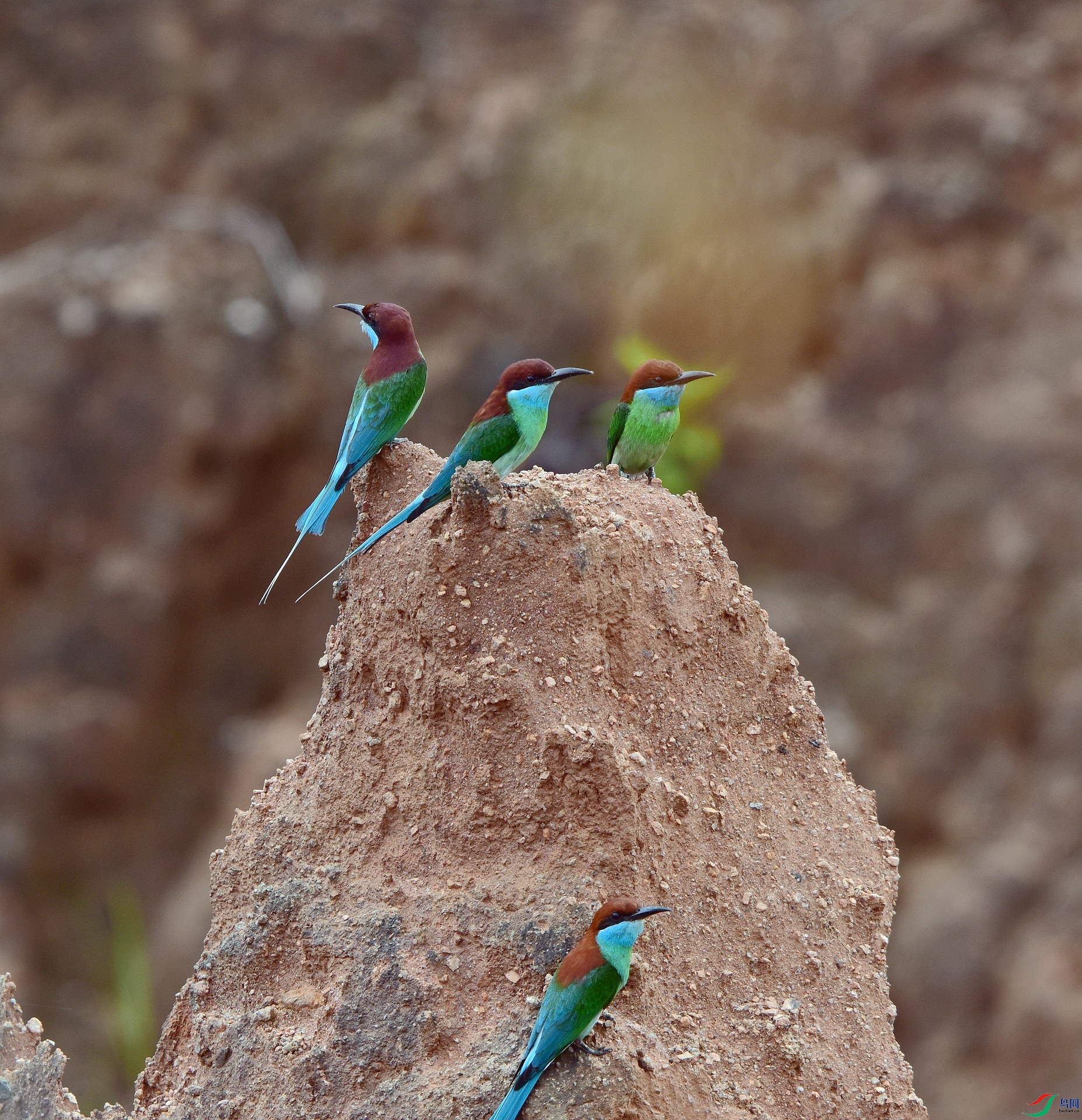 D8I_2090.jpg