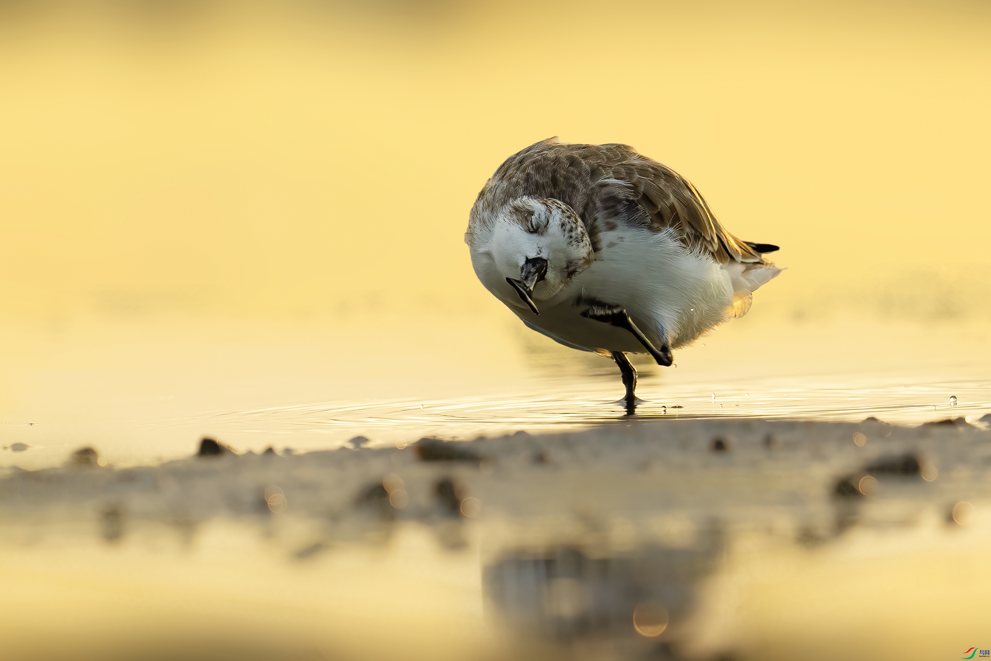 DSC01162 ���� .jpg