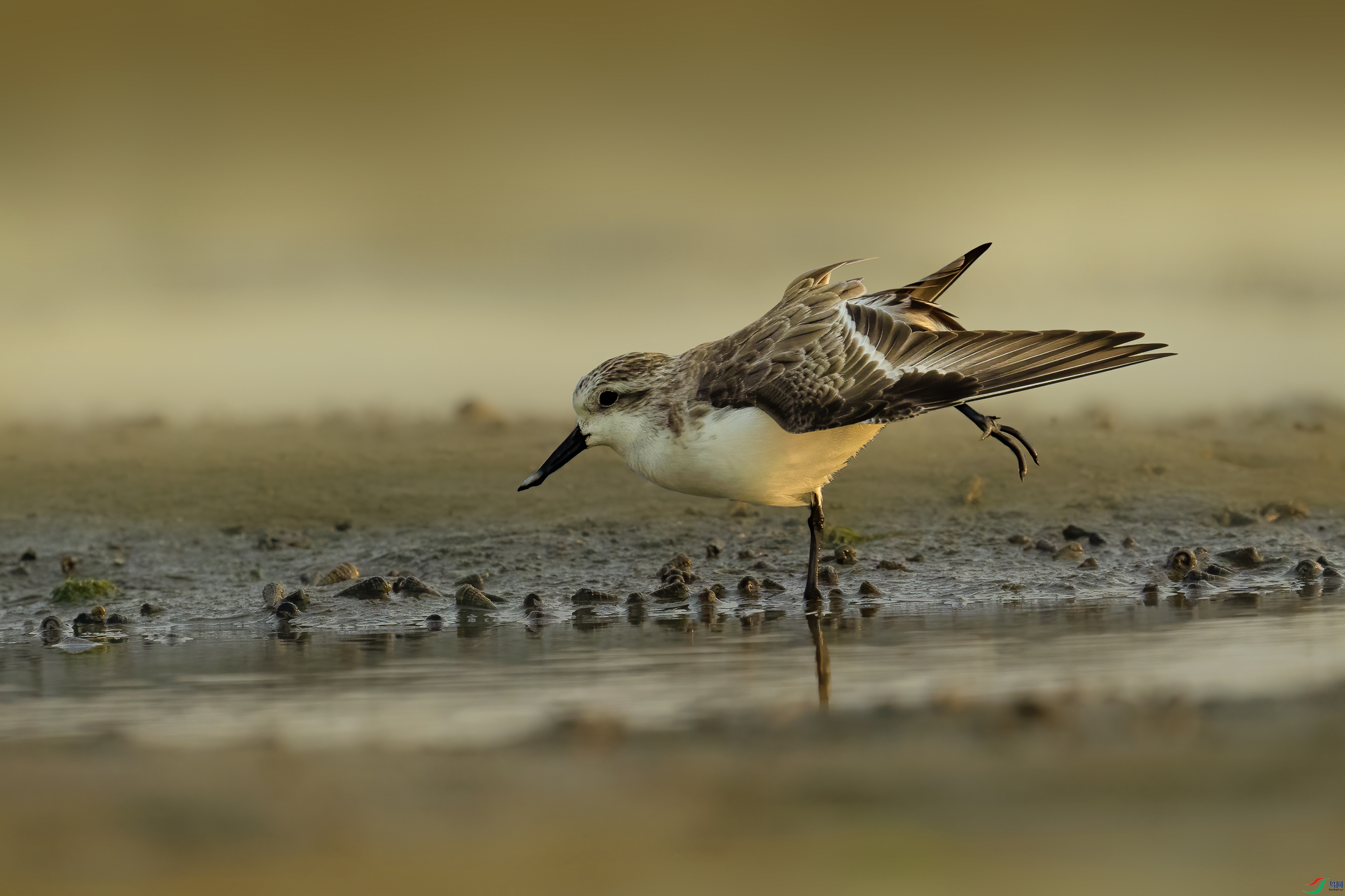 DSC01891 ���� 2.jpg