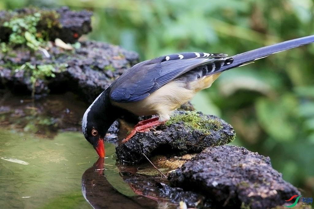 ���� IMGL6608.JPG