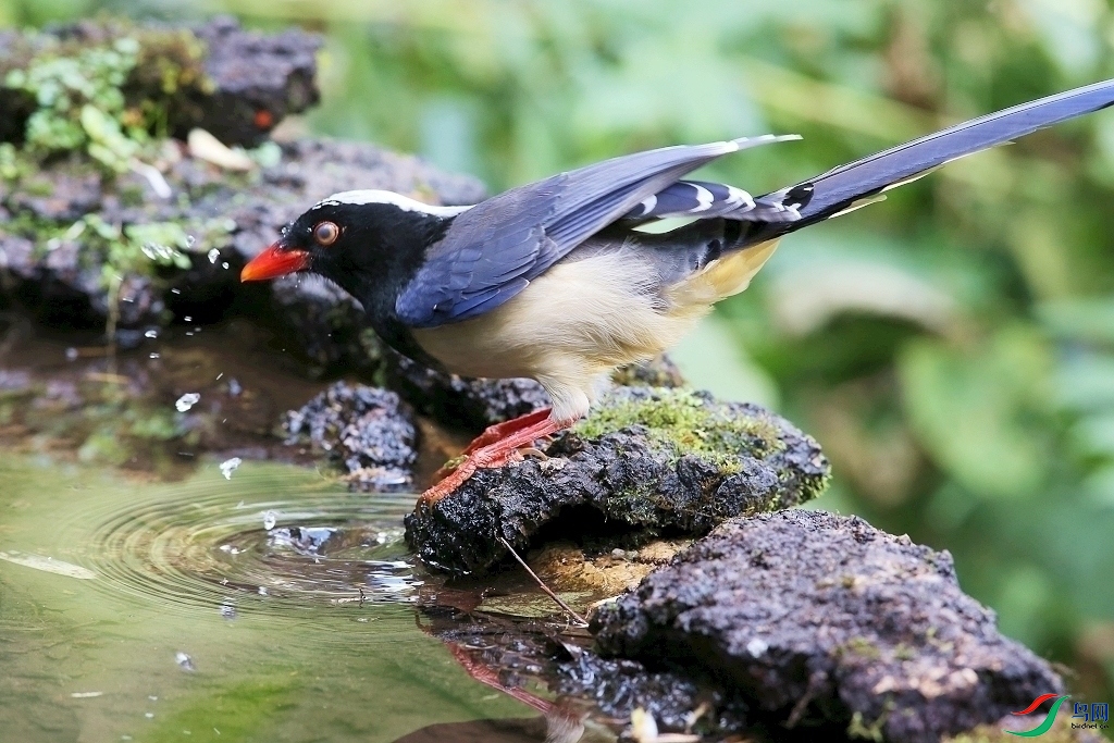 ���� IMGL6612.JPG