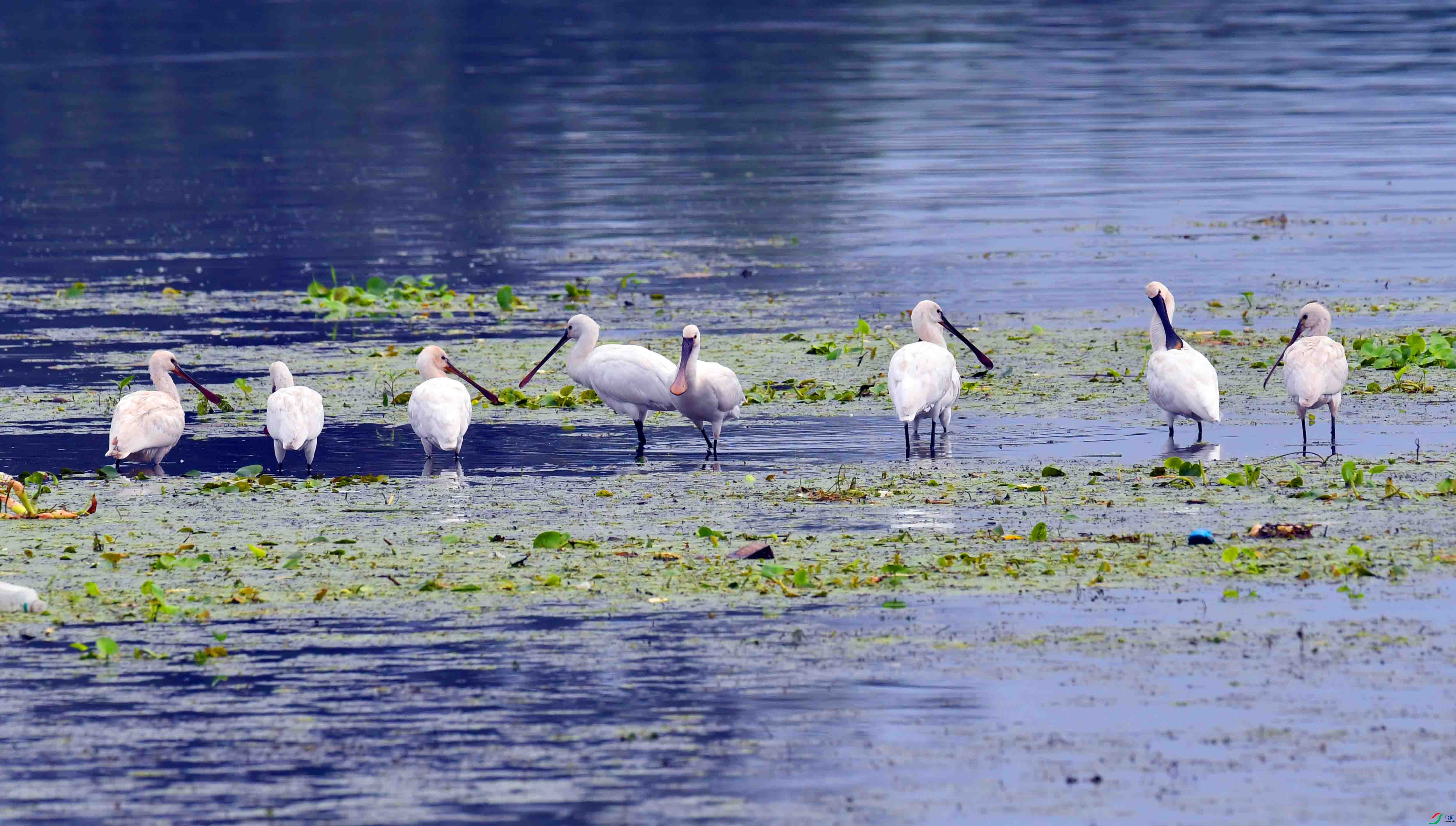 DSC_8106.JPG