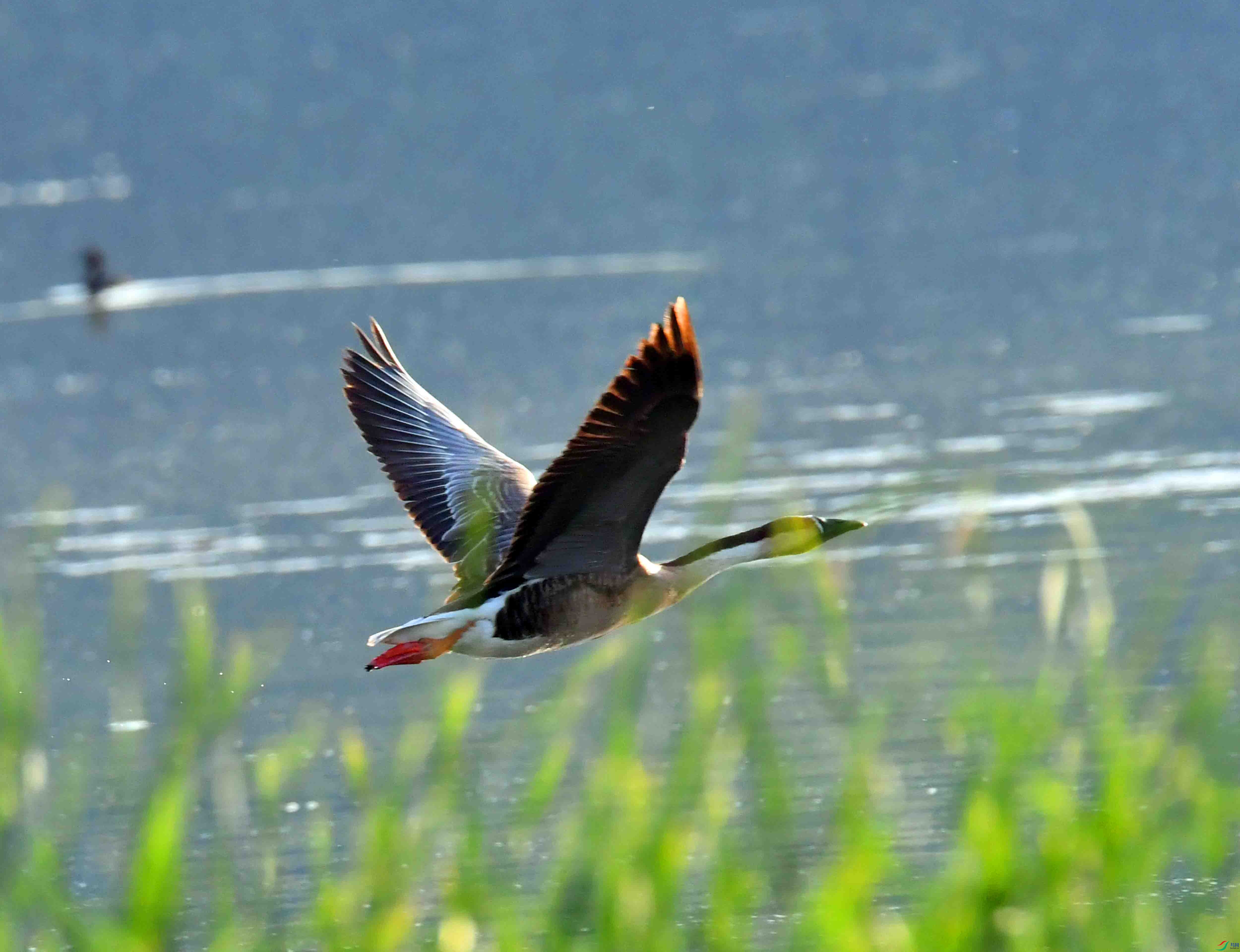DSC_6848.JPG