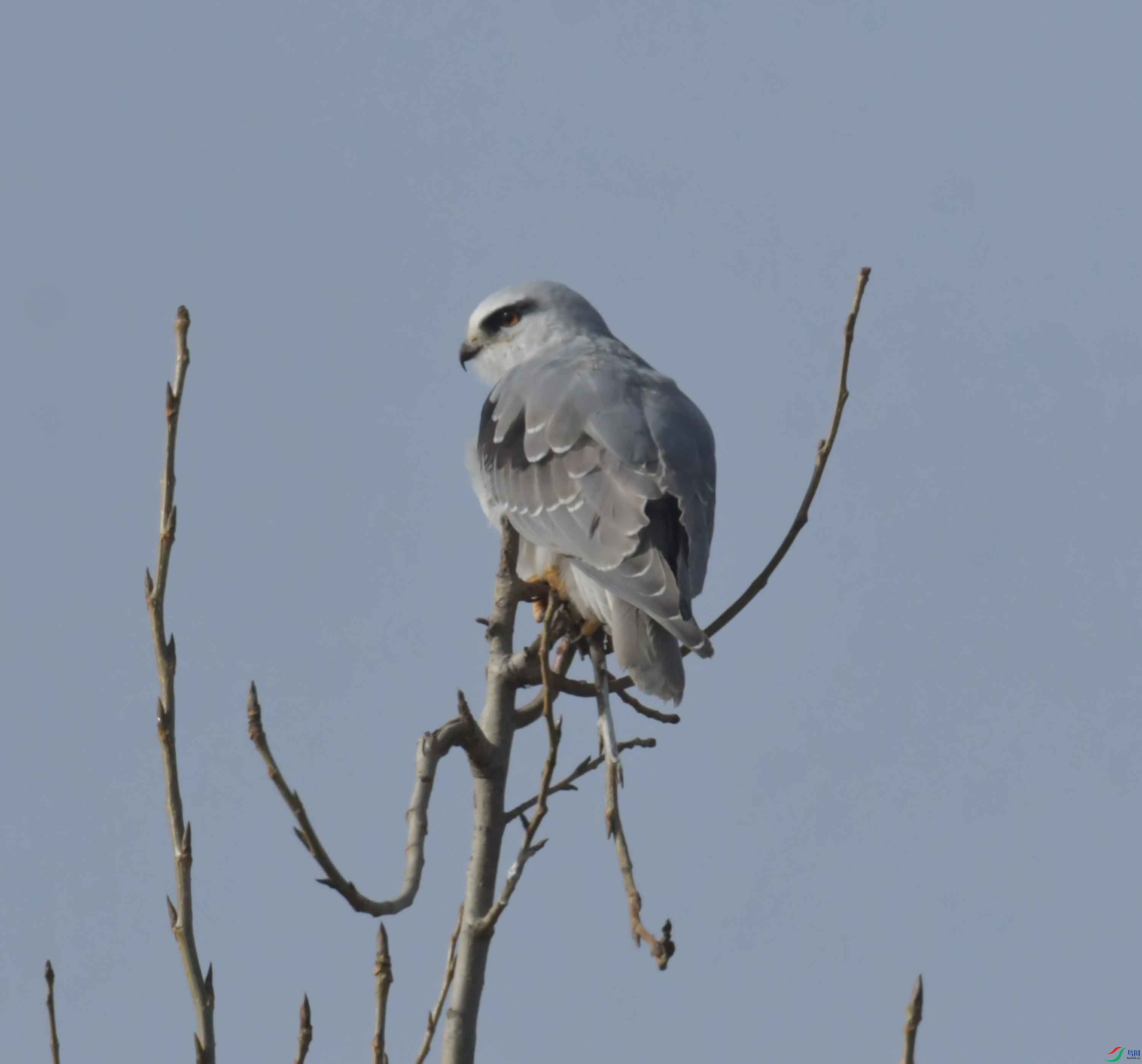 DSC_3726.JPG