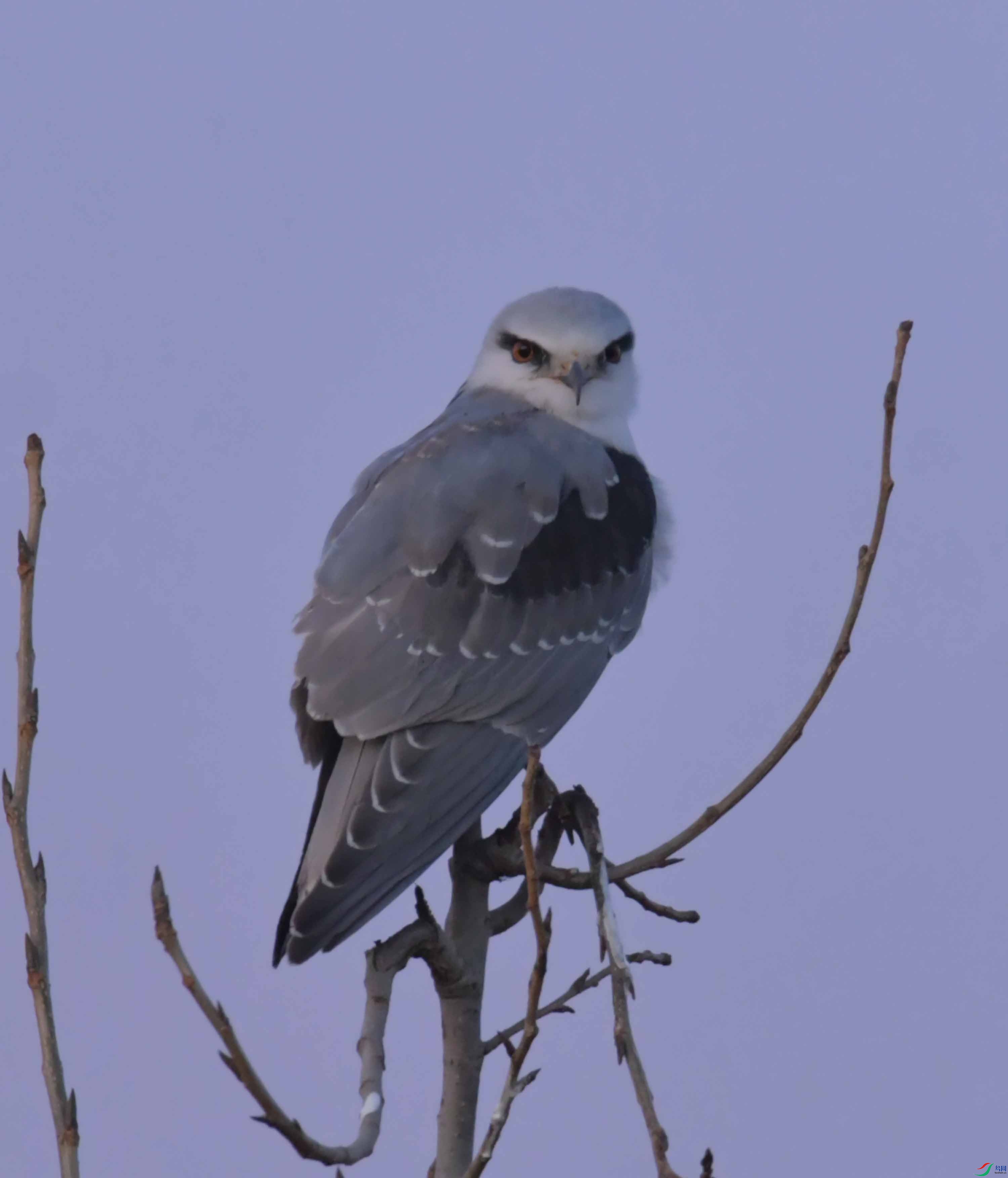 DSC_3895.JPG