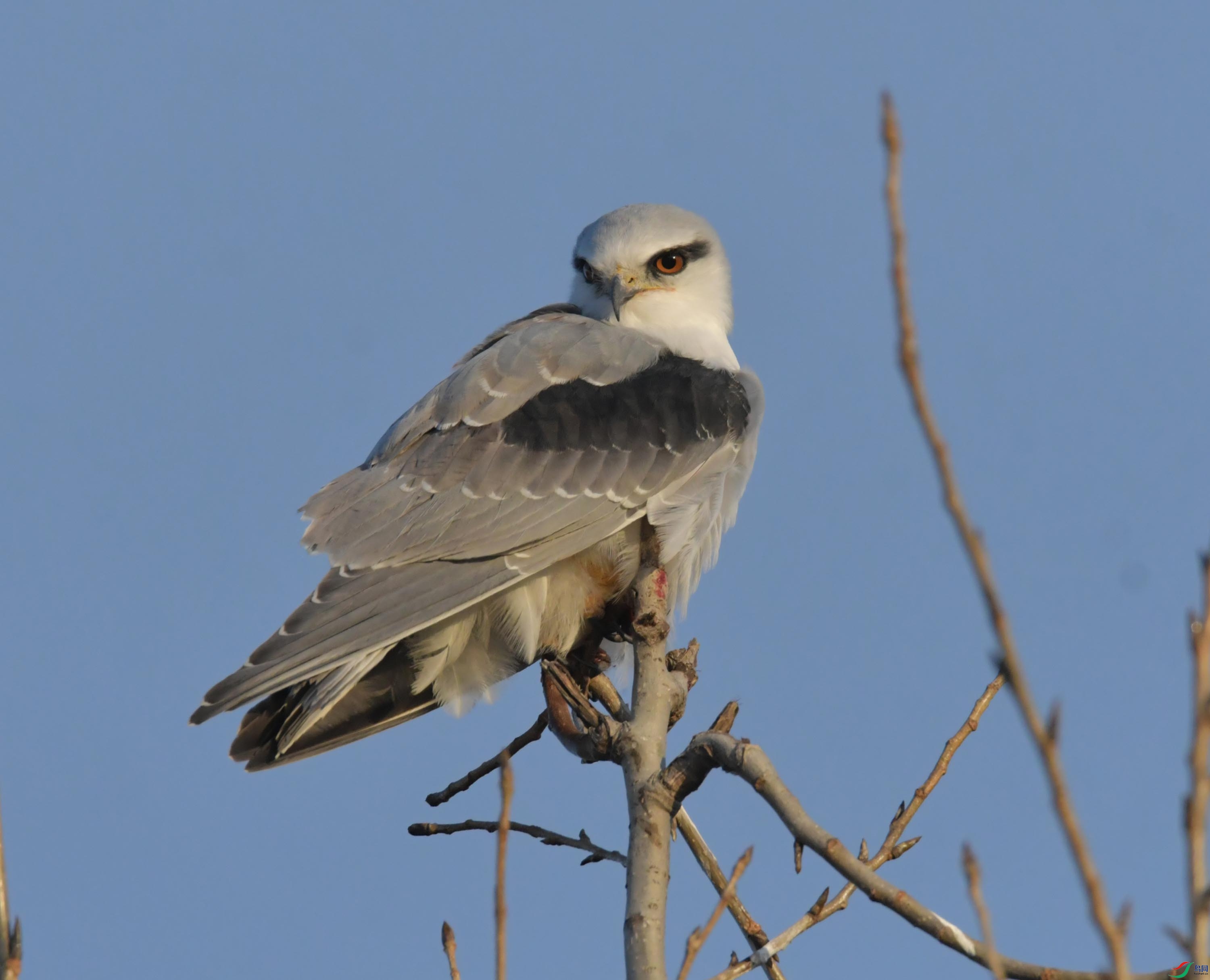 DSC_3981.JPG