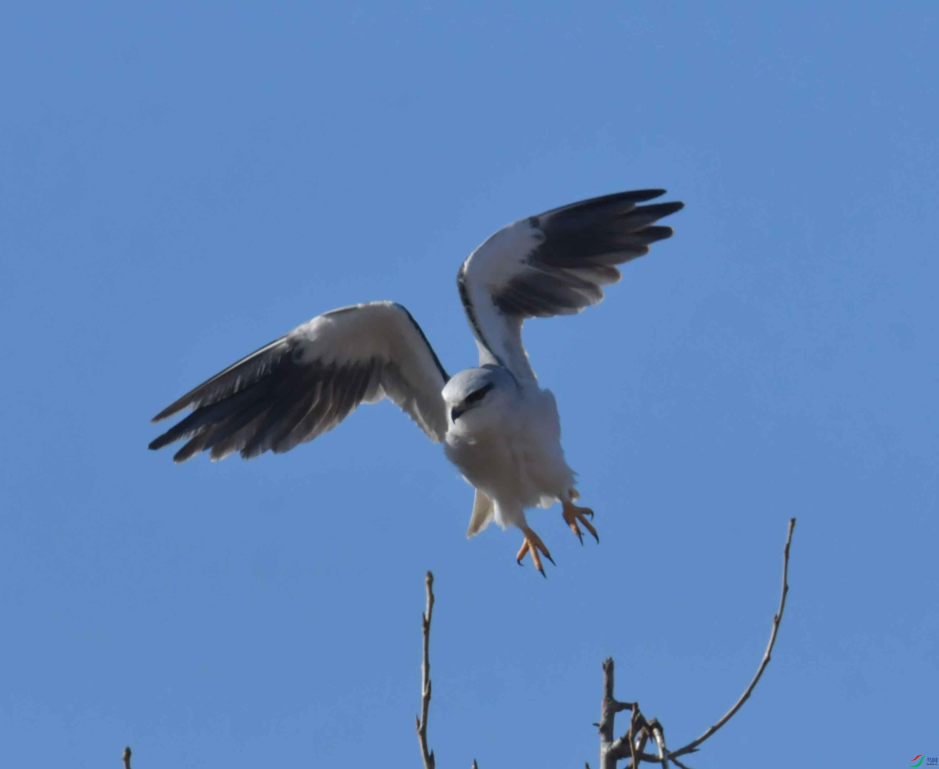 DSC_4280.JPG