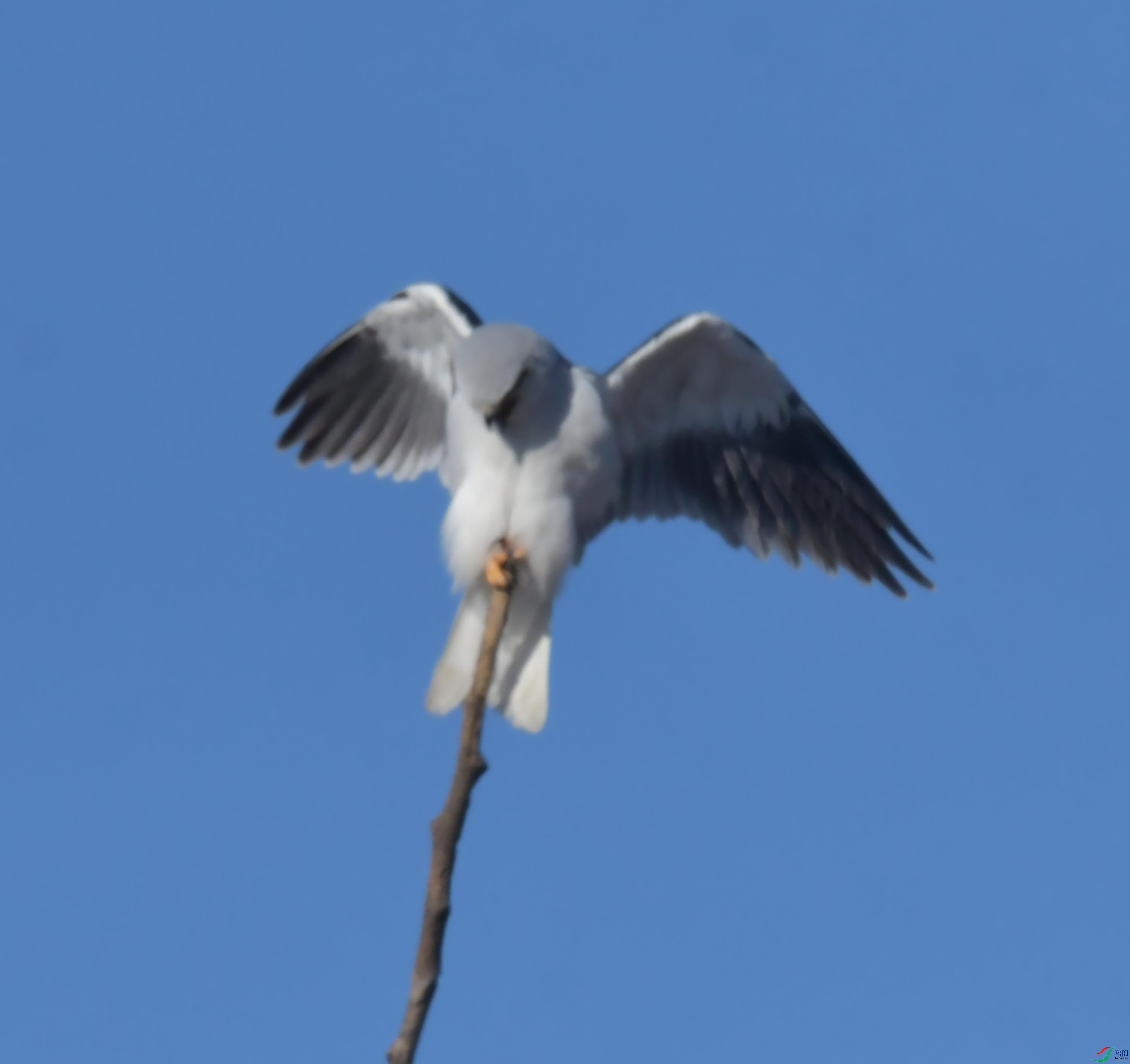 DSC_4344.JPG