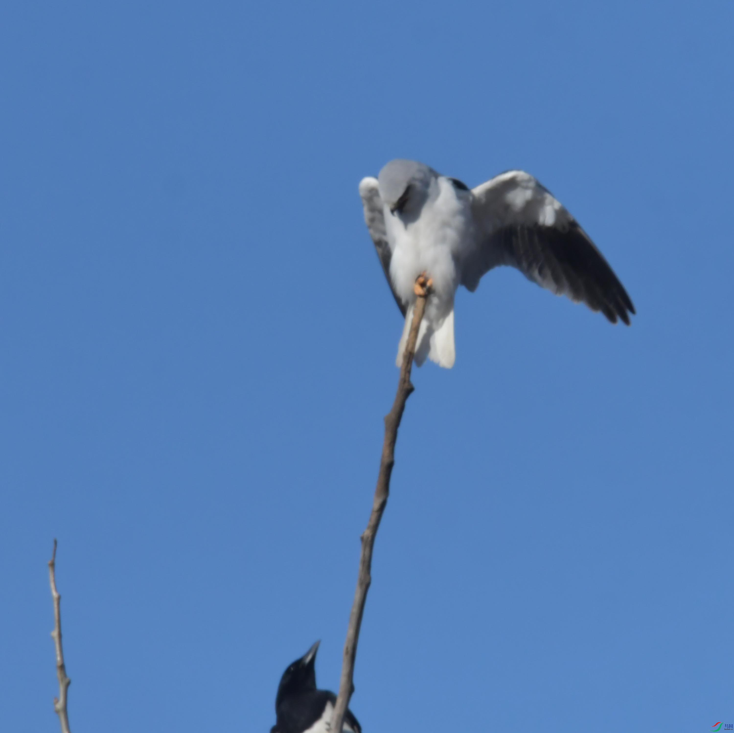 DSC_4345.JPG