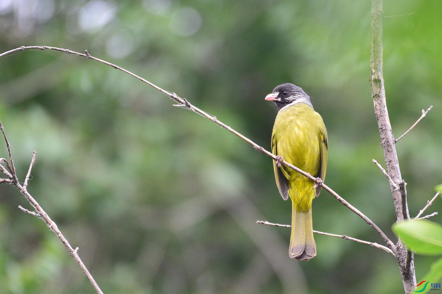 DSC_8353.JPG