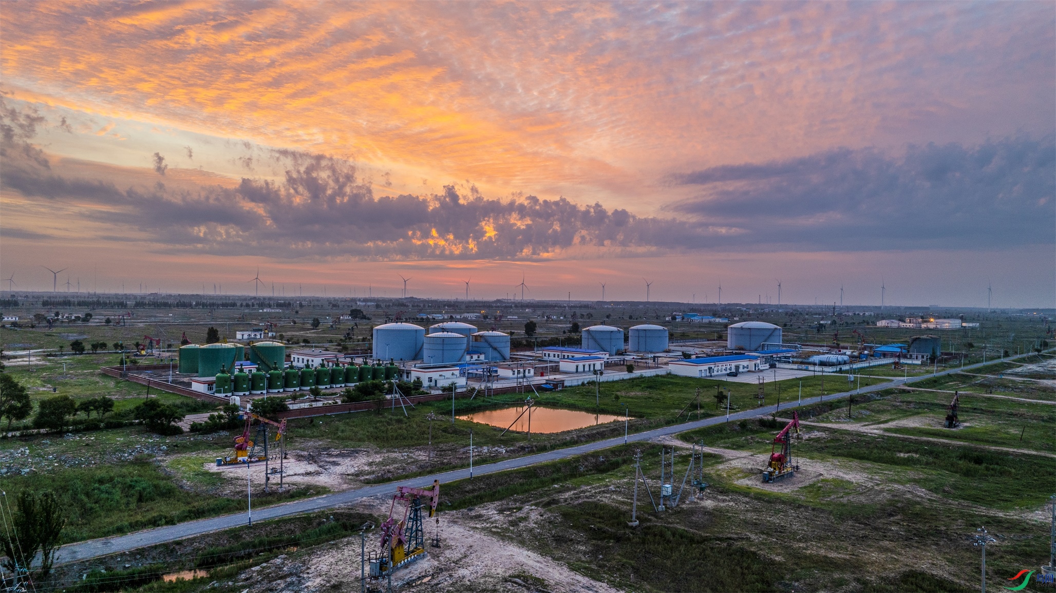 dji_fly_20240731_041408_642_1722512184896_photo ����1.jpg