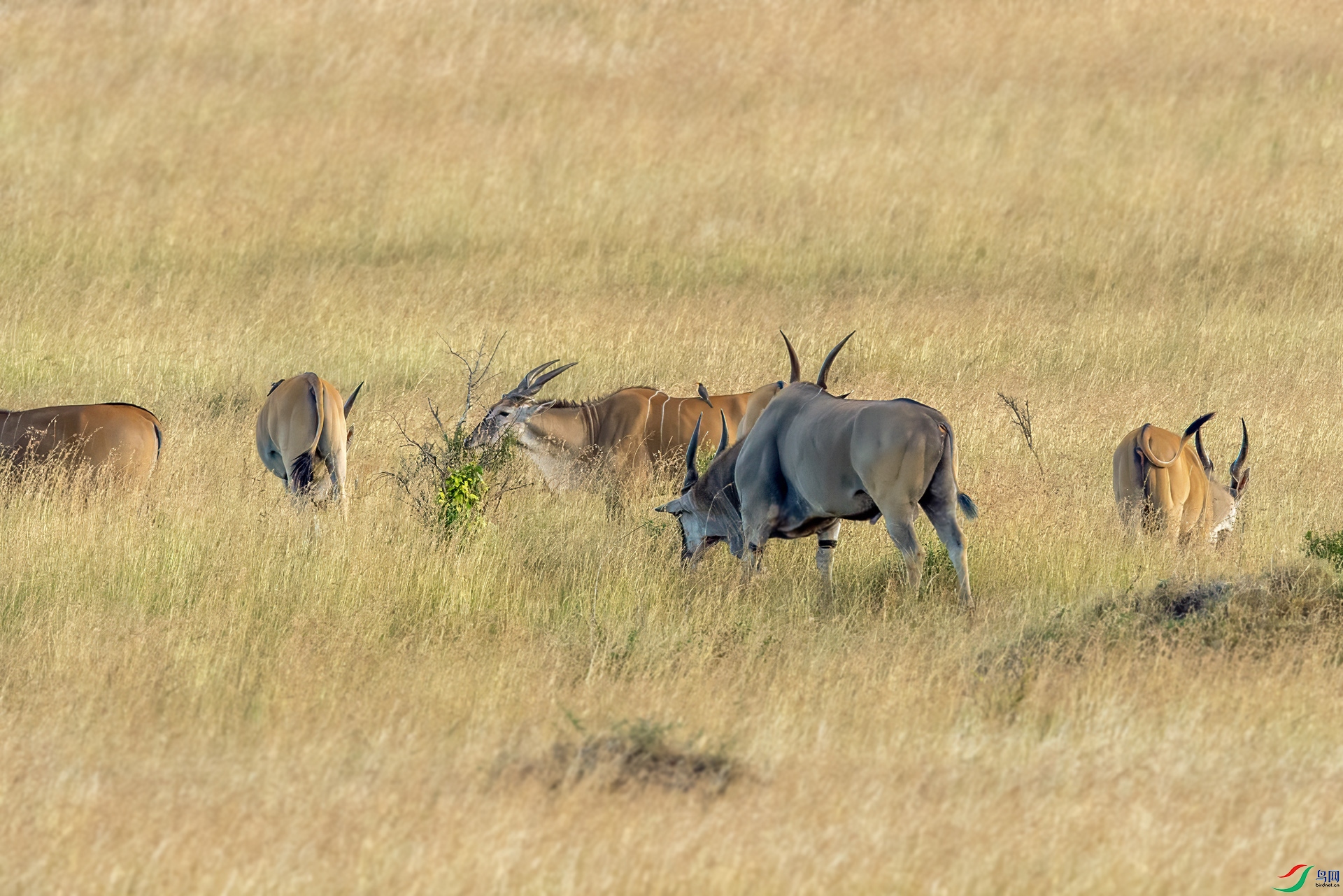 DSC_3110 ����..jpg