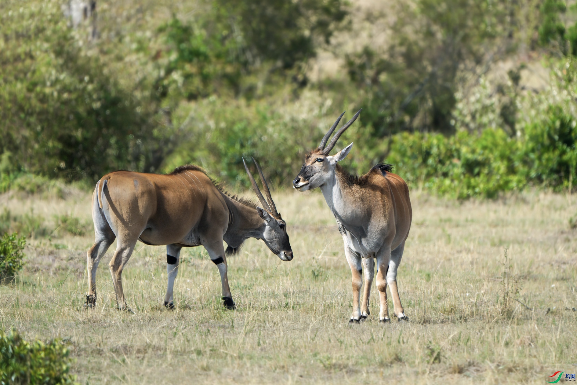 DSC_3450 ����.jpg