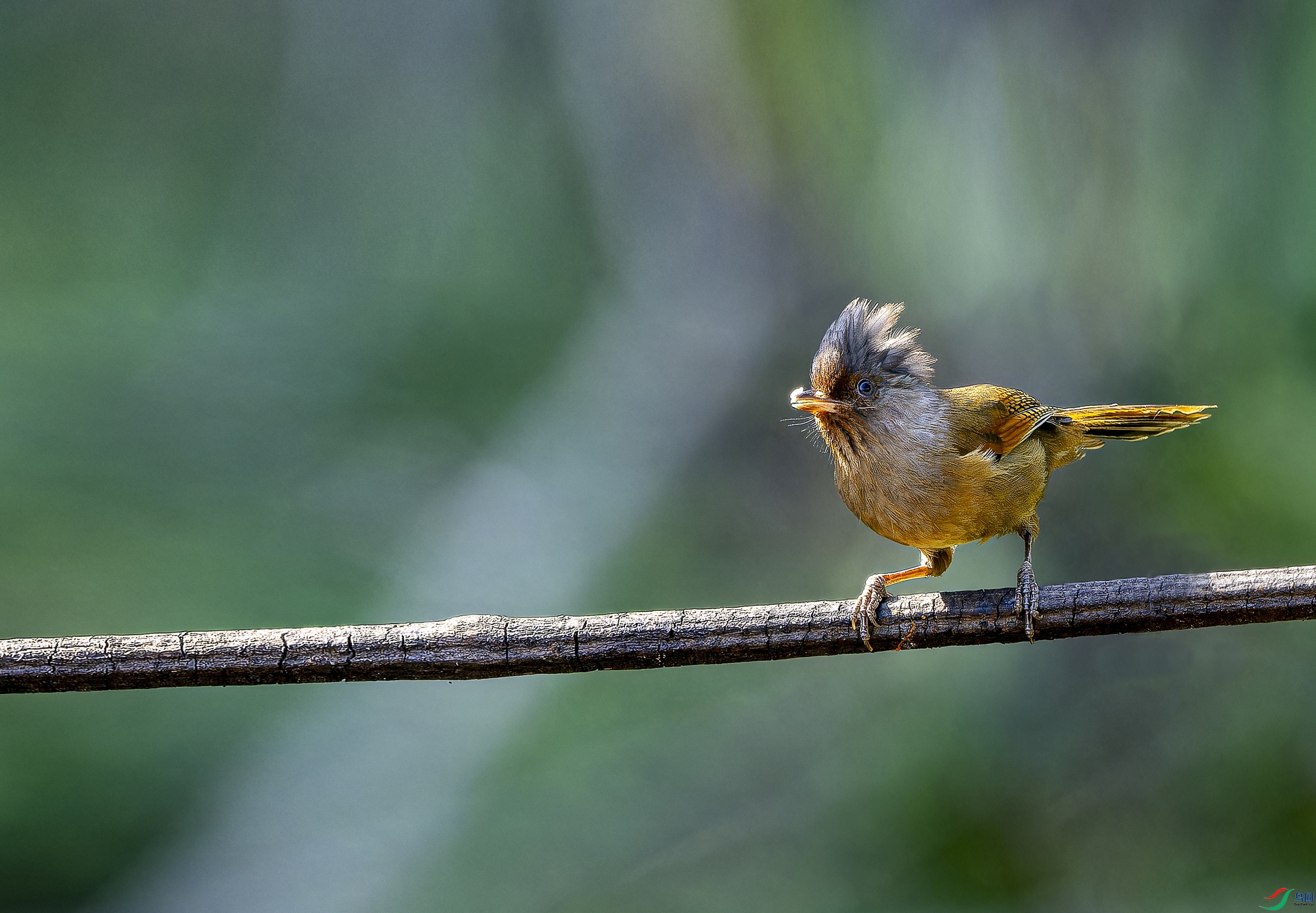 iI (3536)-ORF_DxO_DeepPRIMEXD ����.jpg